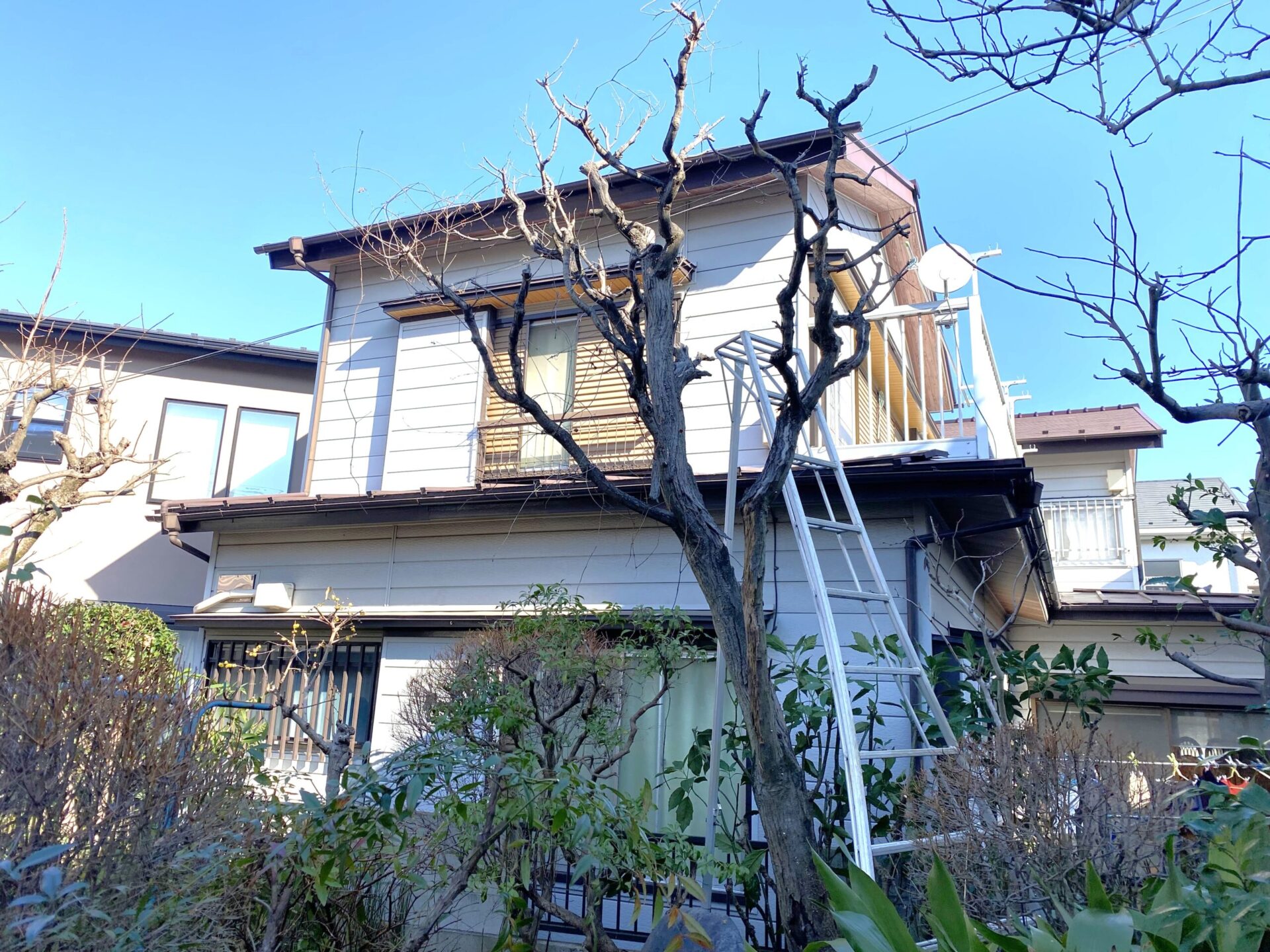 １月１４日　川越市　枯れ木　伐採　工事作業報告