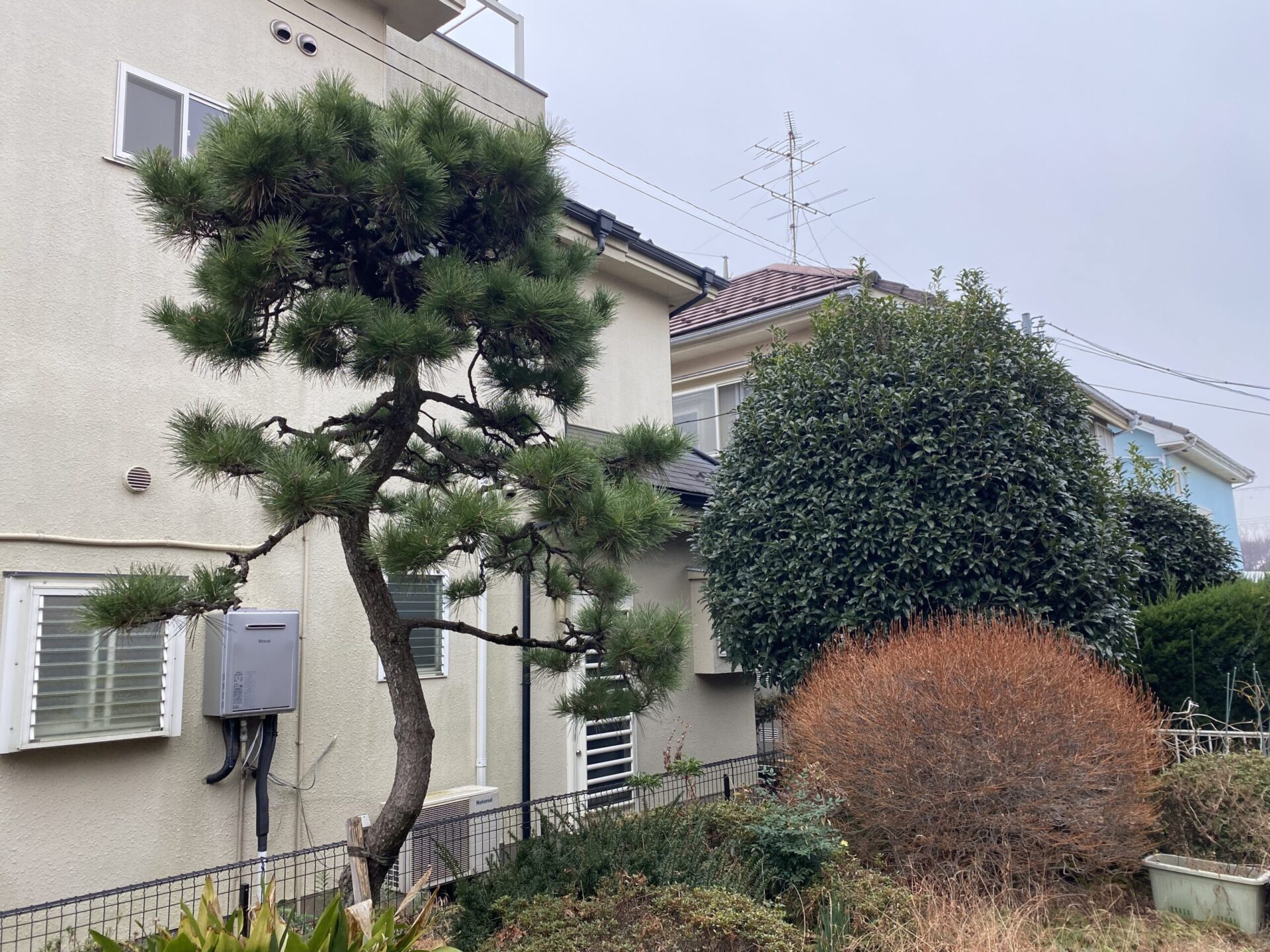 １月２６日　富士見市　剪定　作業報告