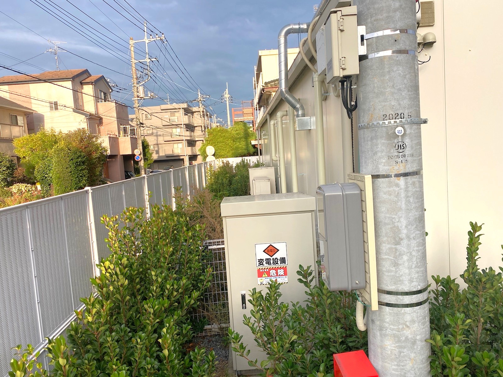 １月１２日　川越市　剪定　作業報告