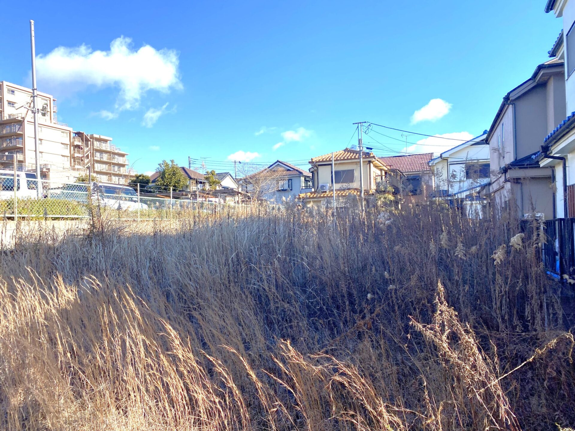 ２月１６日　狭山市　空き地　除草作業報告