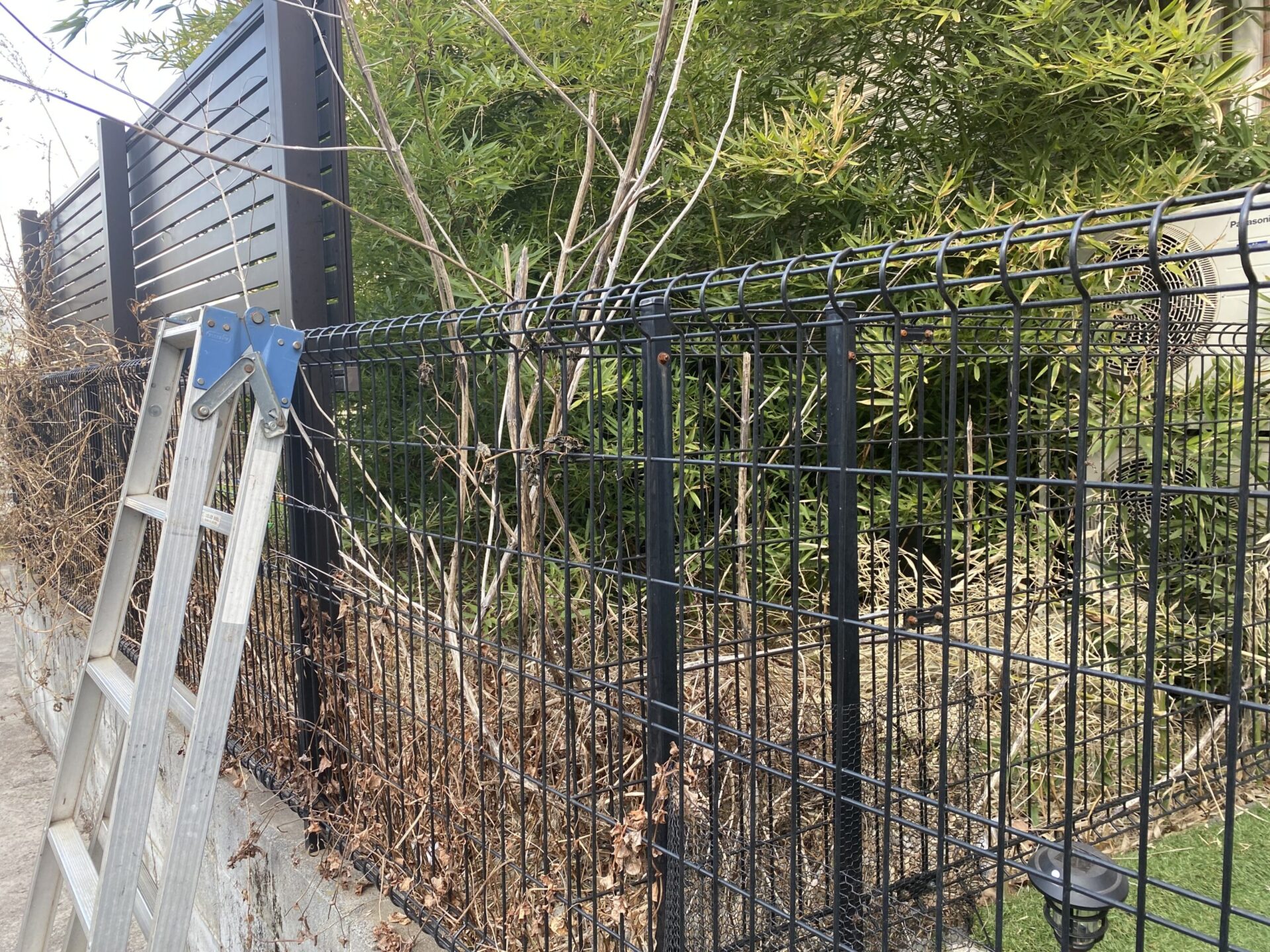 ２月３日　川越市　伐採　除草　作業報告