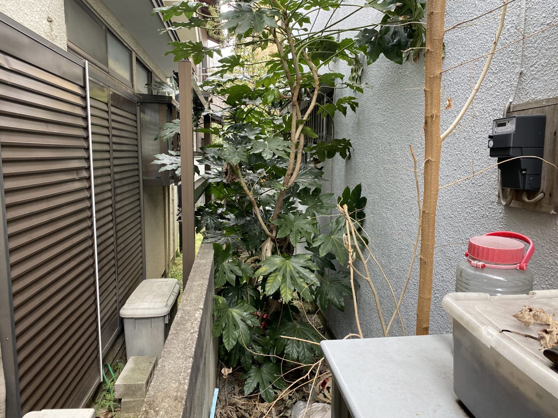 ２月１２日　川越市　伐採　除草　作業報告