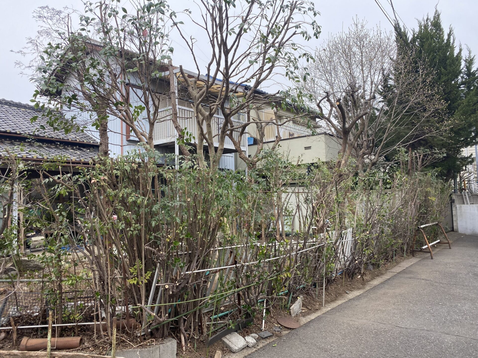 ３月２８日　川越市　剪定　作業報告