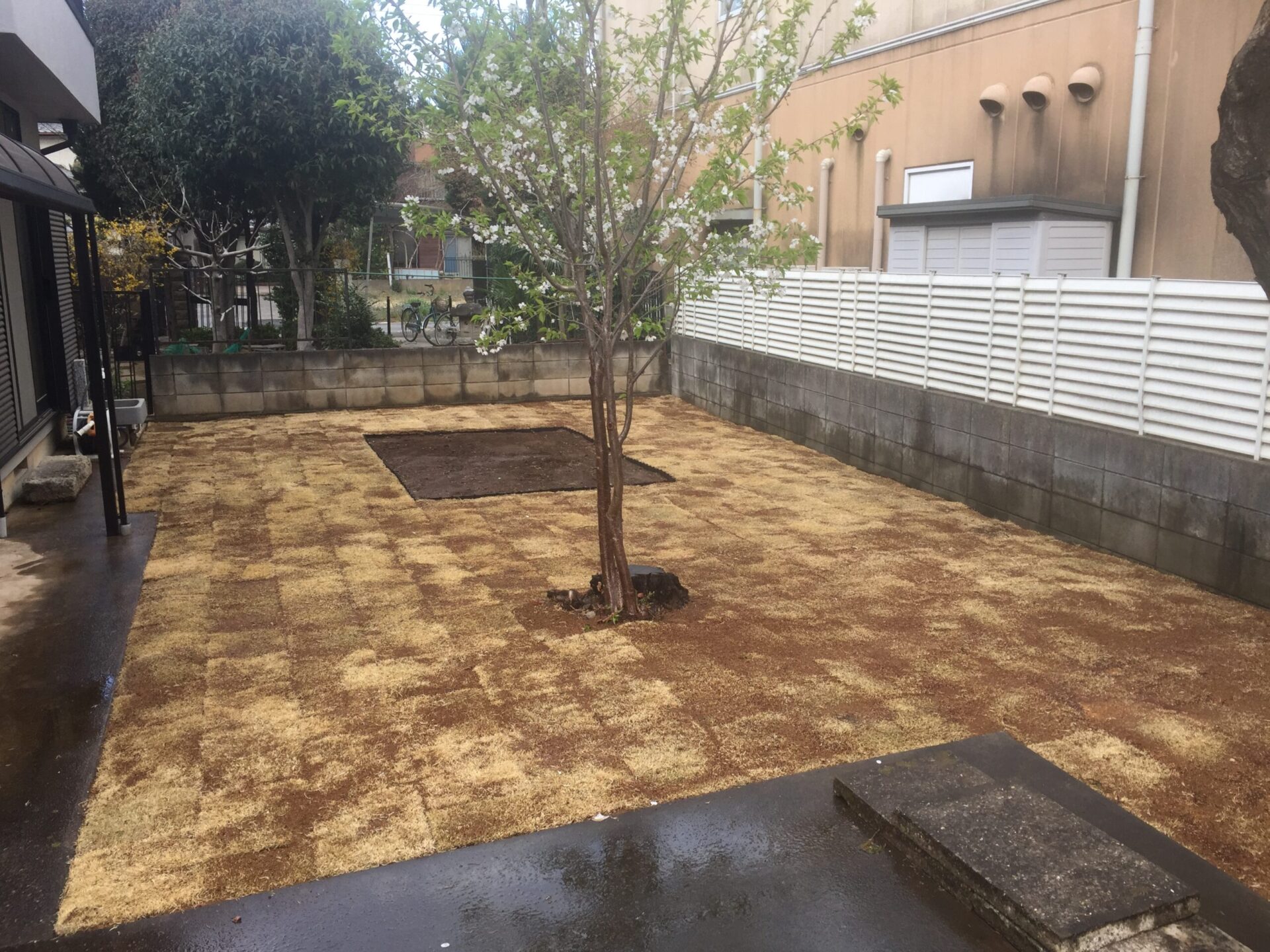 ３月５日　川越市　芝張り　２日目完了作業報告