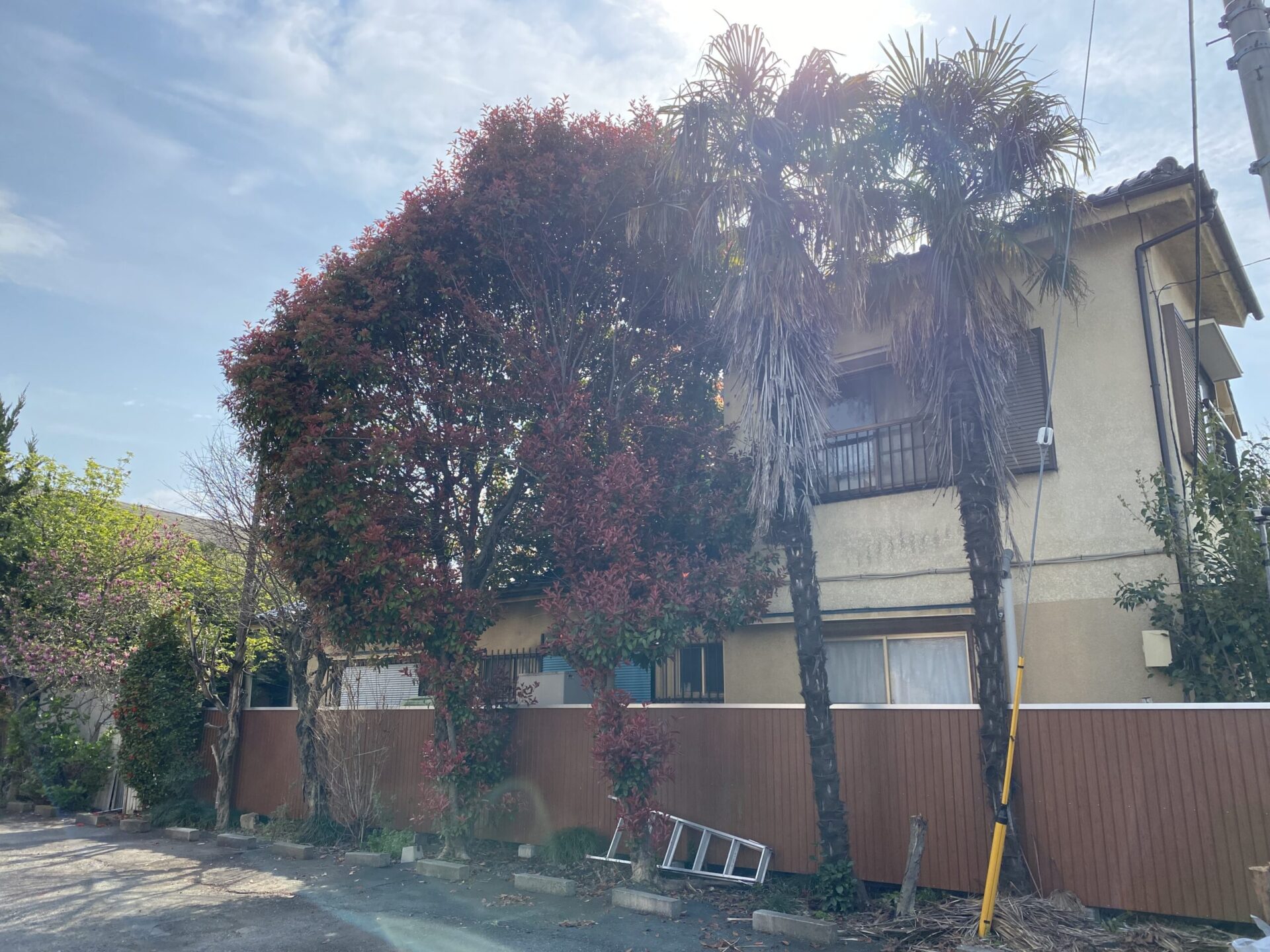４月３日　川越市　伐採　作業報告