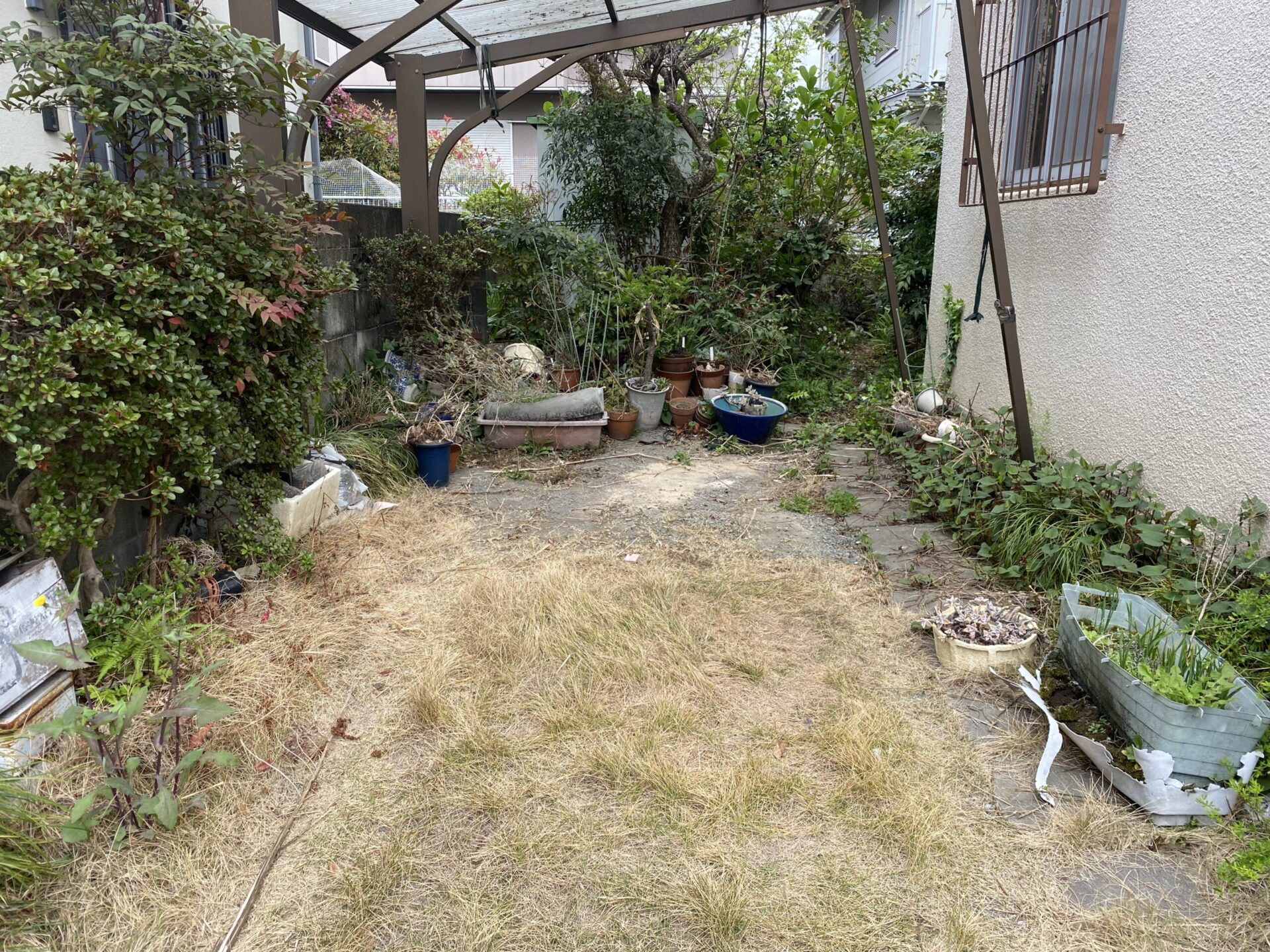 ４月９日　川越市　空き家　剪定作業報告