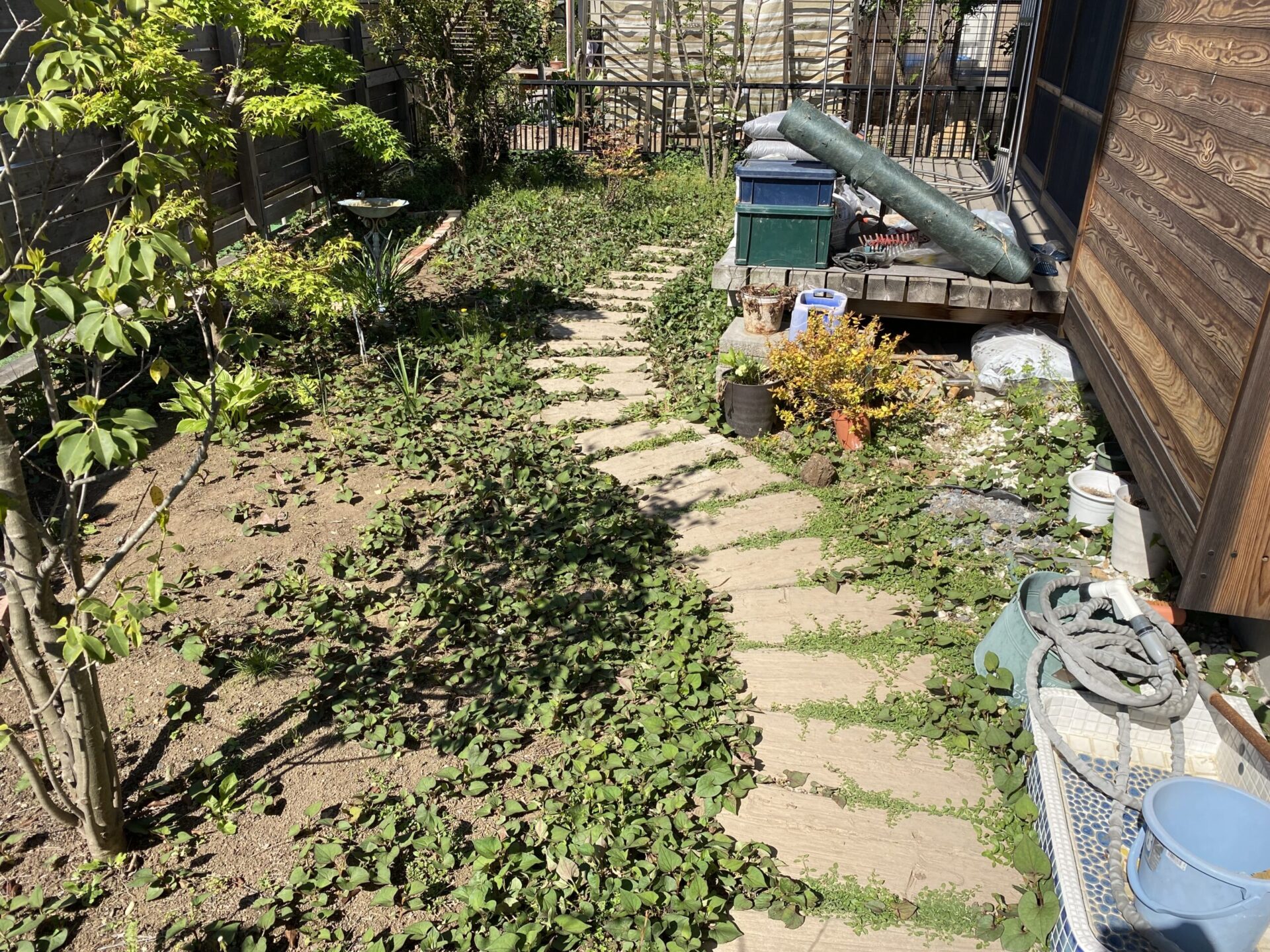 ４月２１日　川越市　芝張り　花壇作り　作業報告