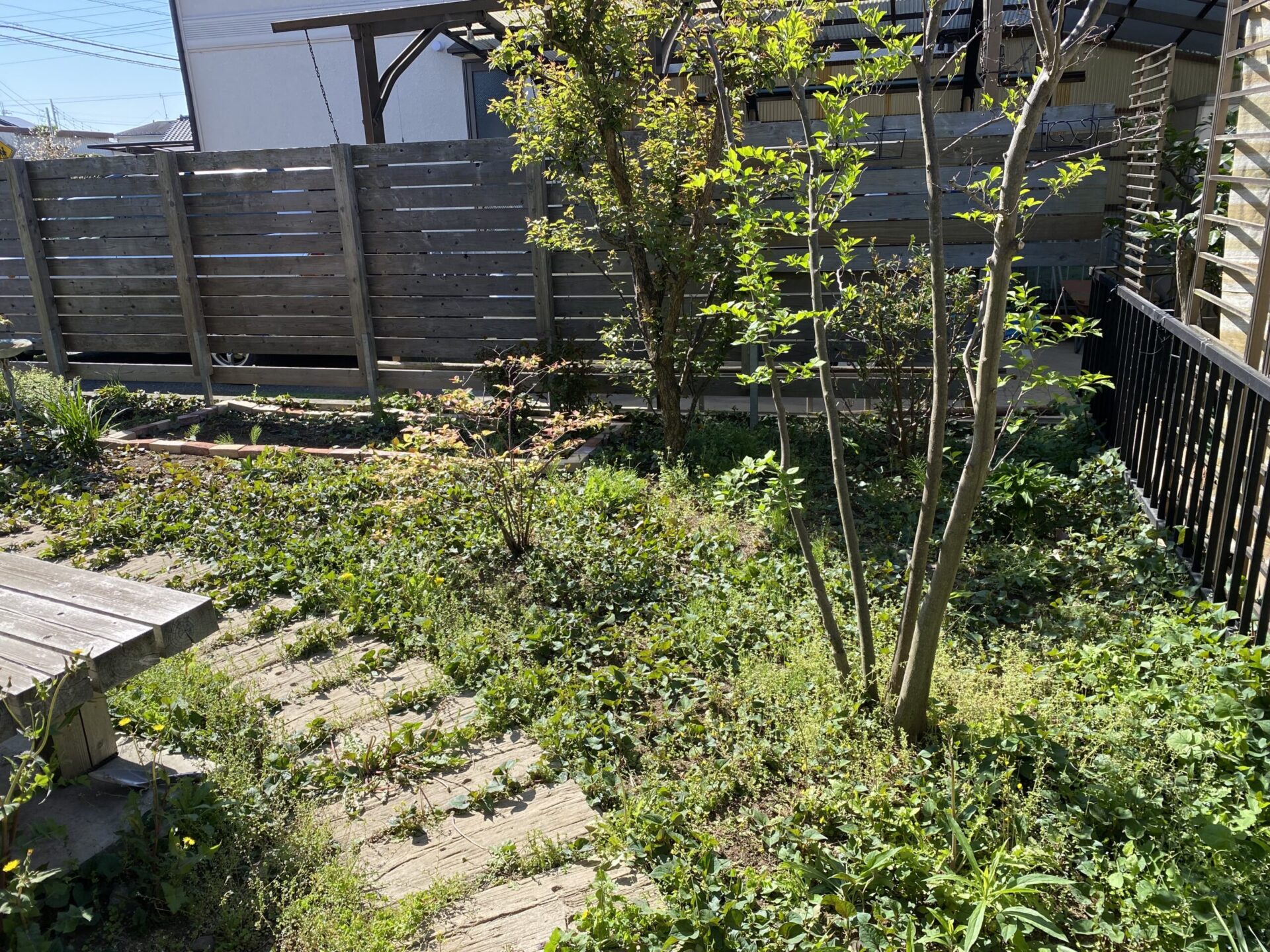 ４月１１日　川越市　芝張り　花壇　作業報告