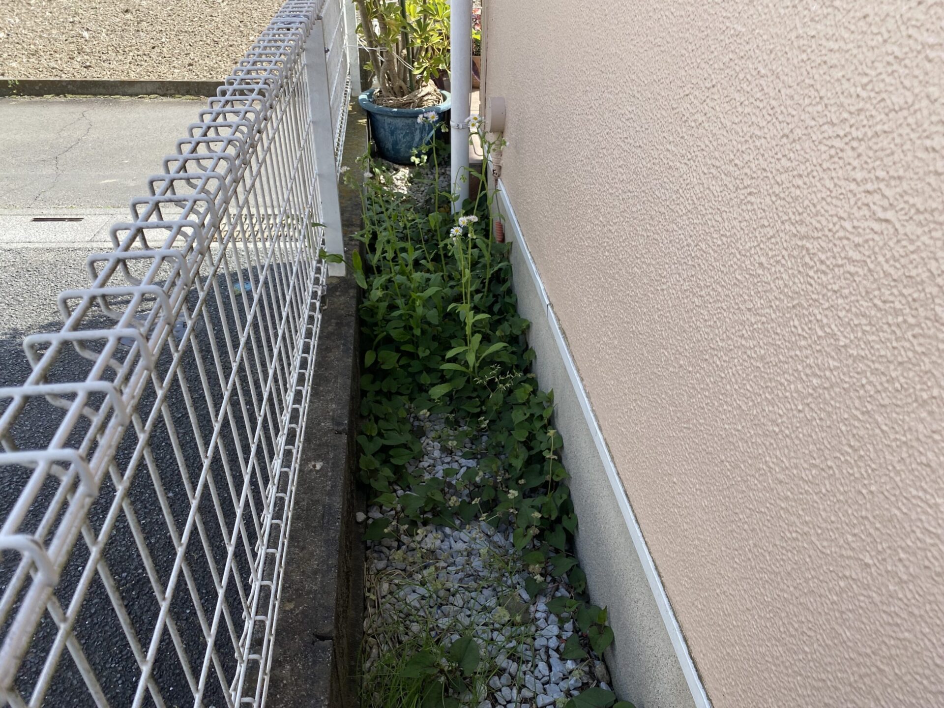 ４月１９日　川越市　防草工事　作業報告