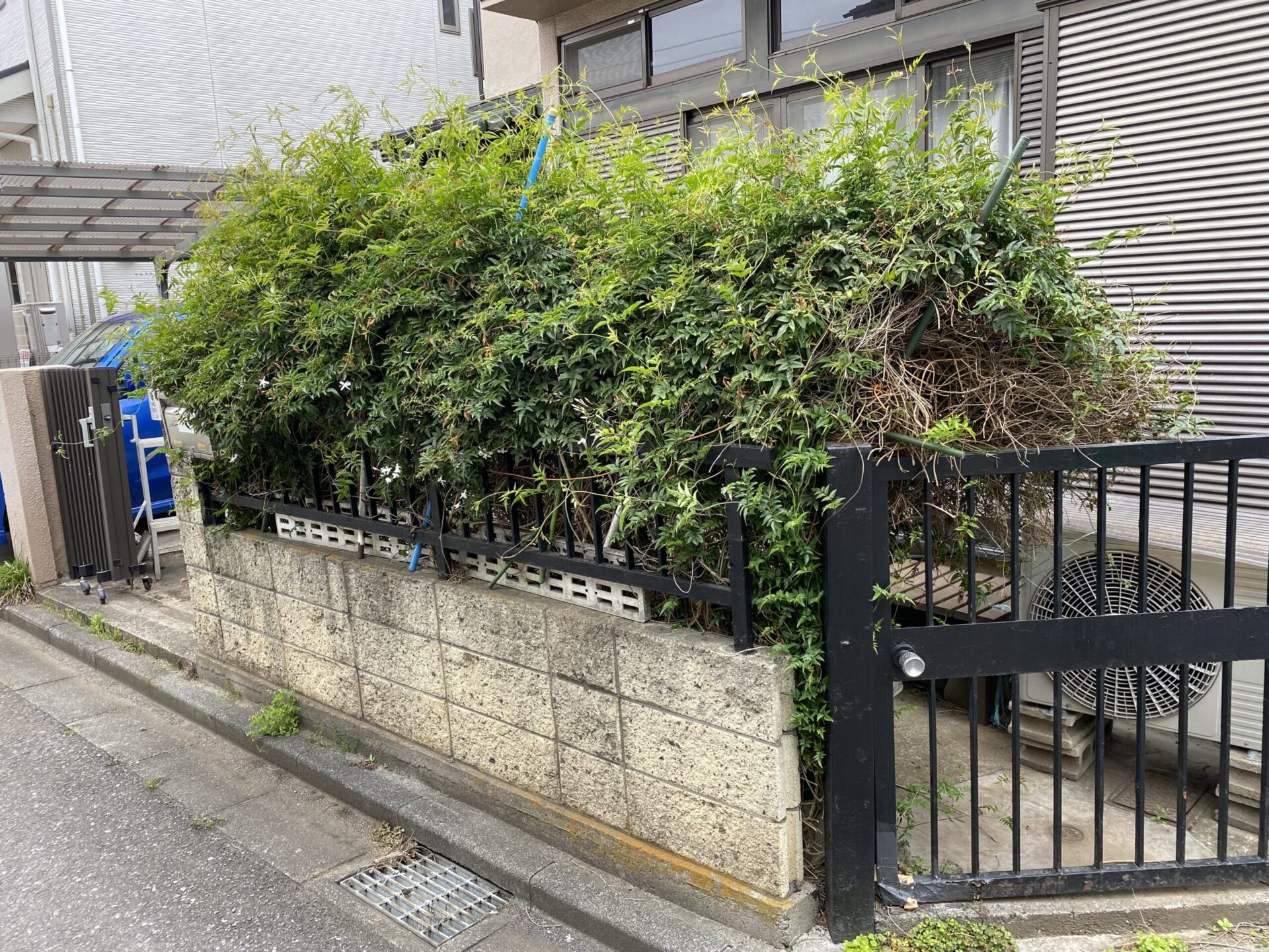 4月23日 富士見市 伐採 作業報告