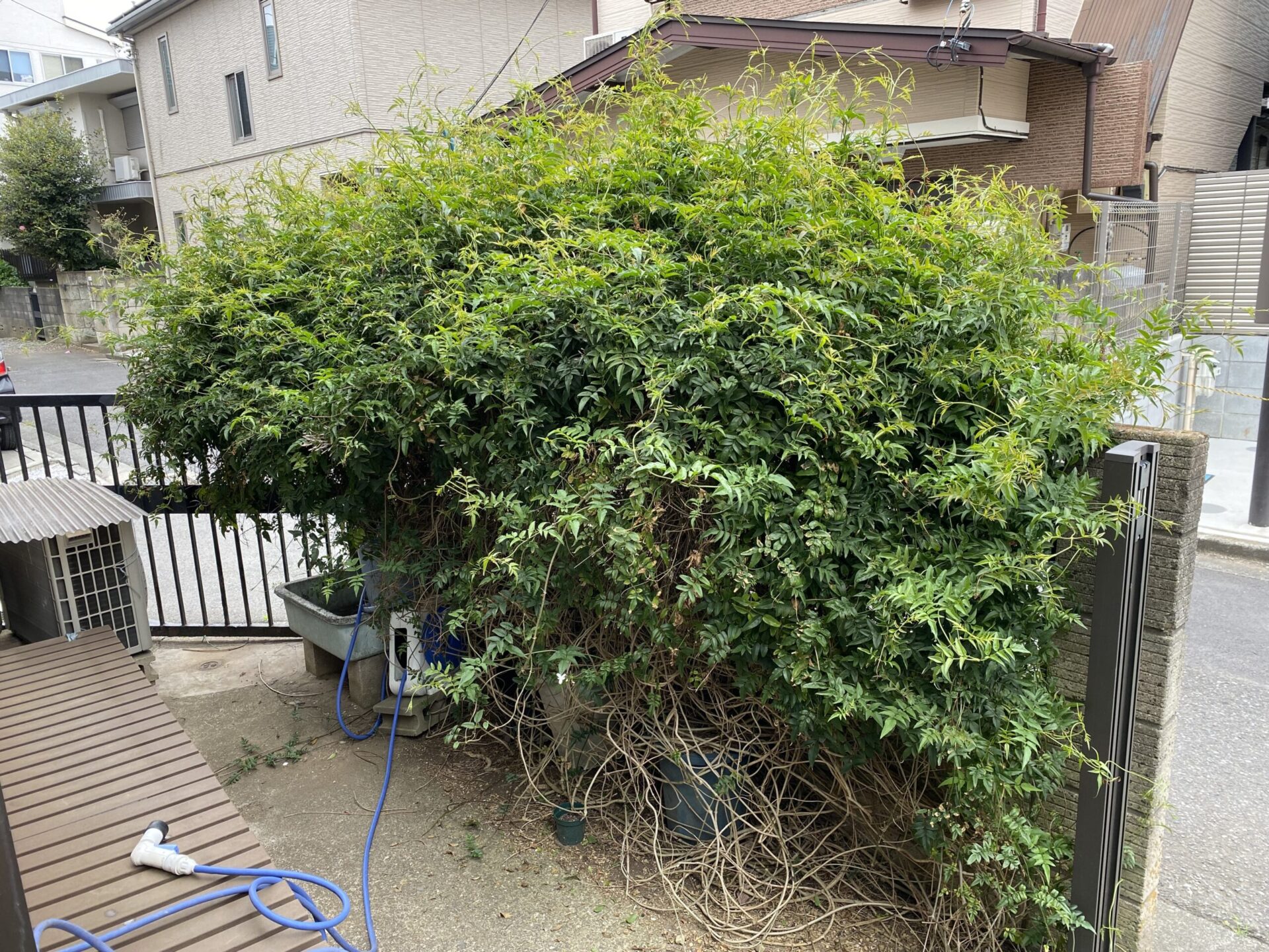 ５月１１日　富士見市　伐採　作業報告