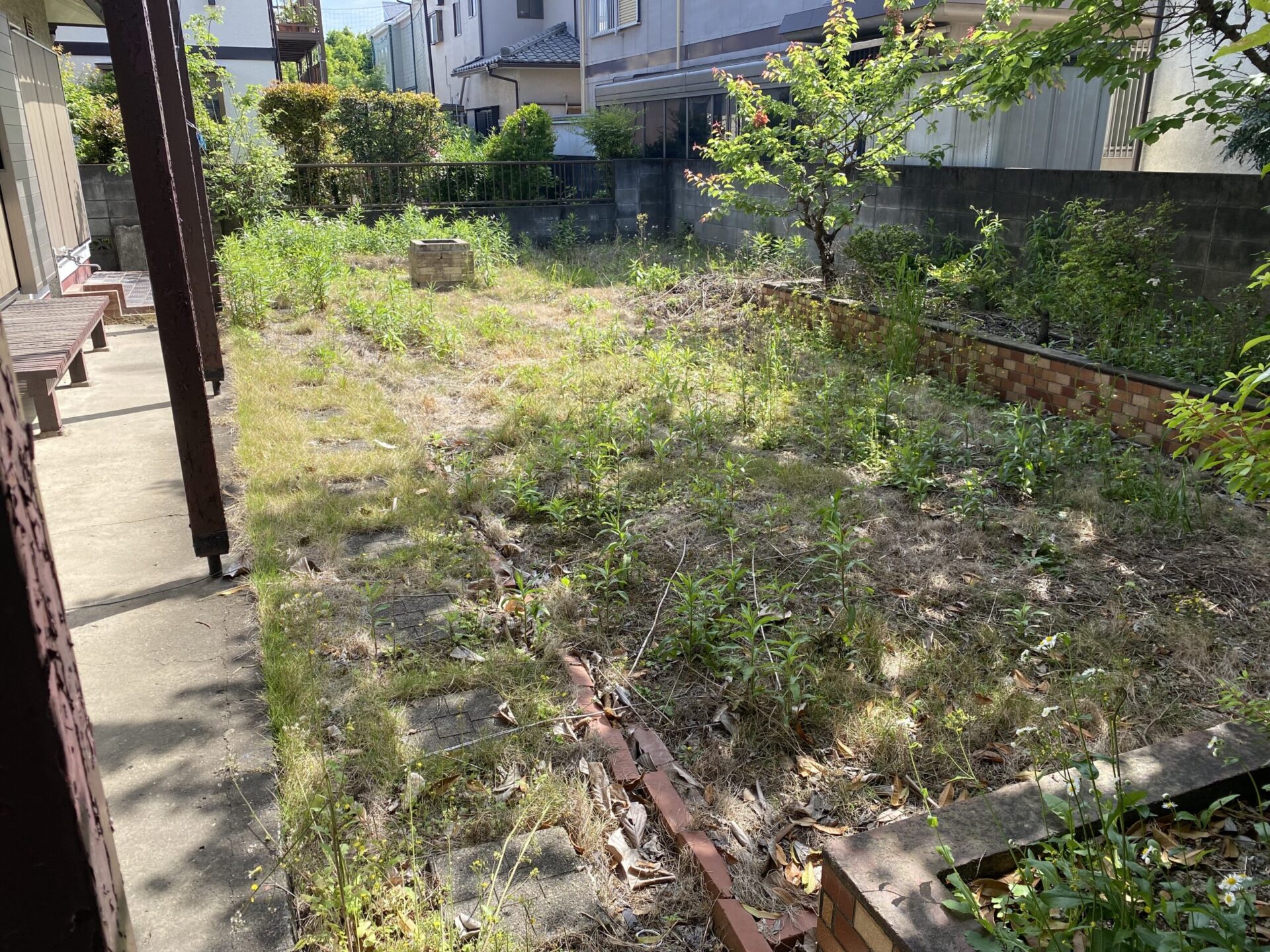 ５月１０日　川越市　伐採　除草　作業報告