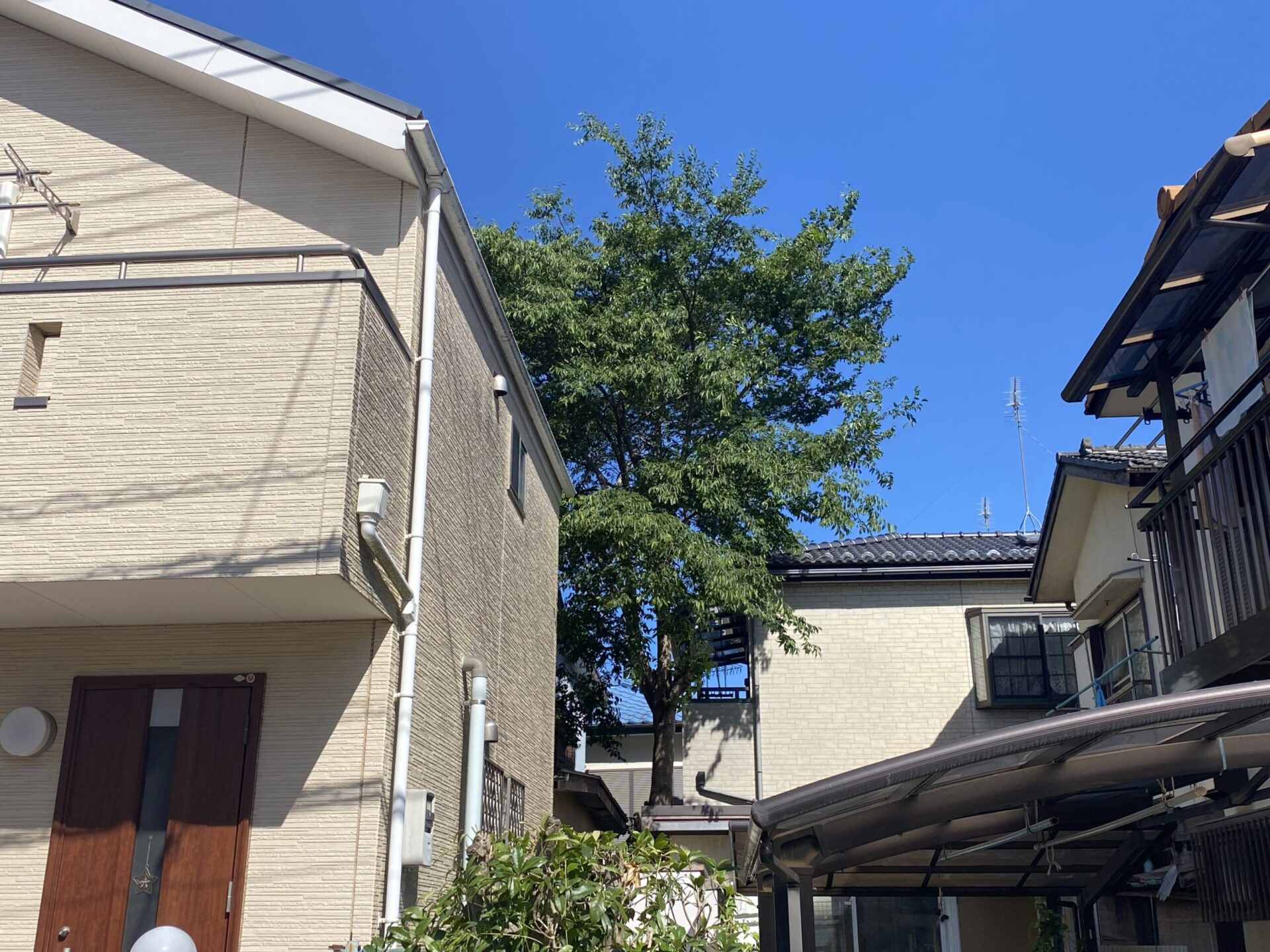 ５月２６日　川越市　特殊伐採　作業報告