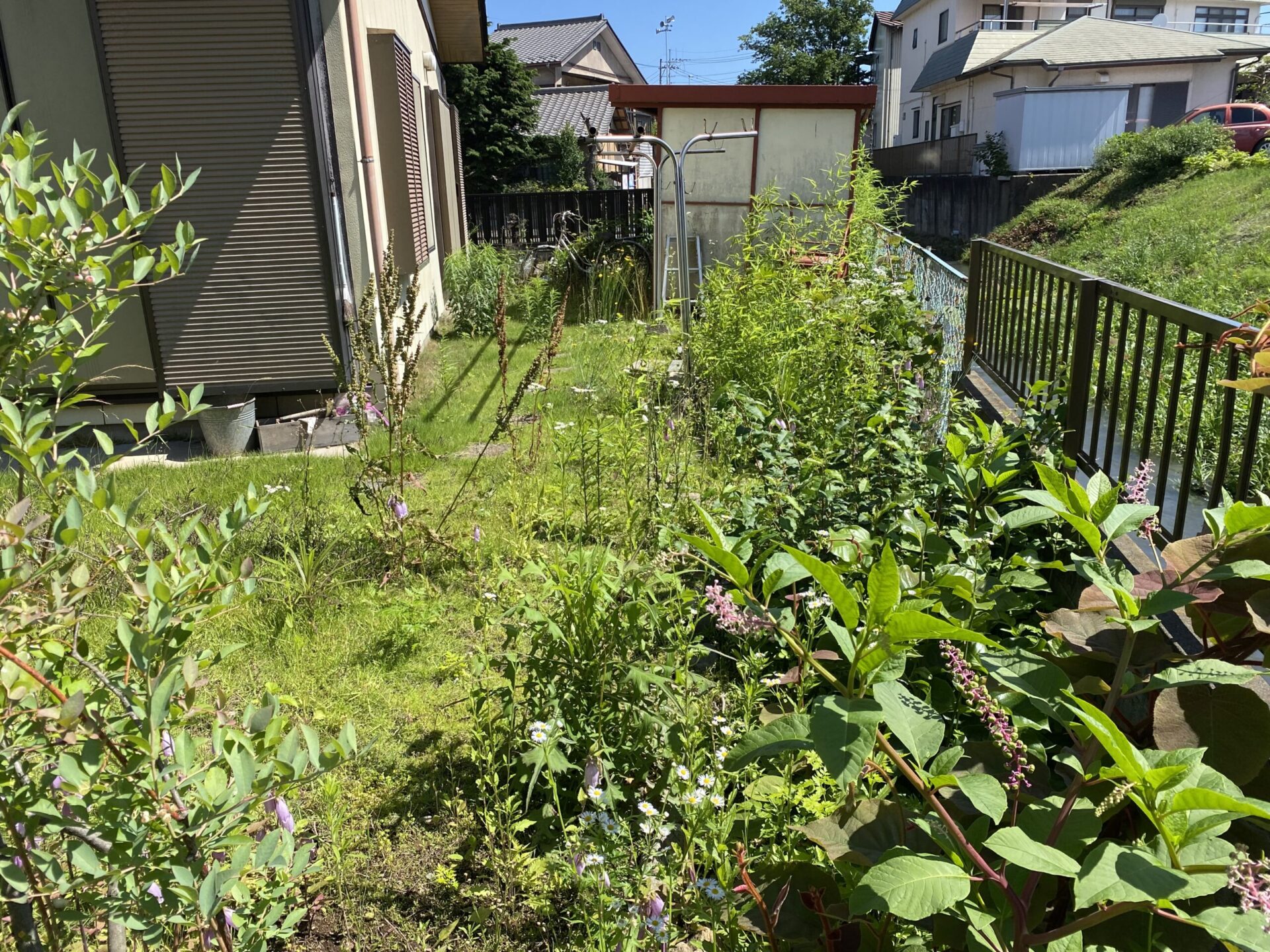 ６月１８日　川越市　草刈り作業