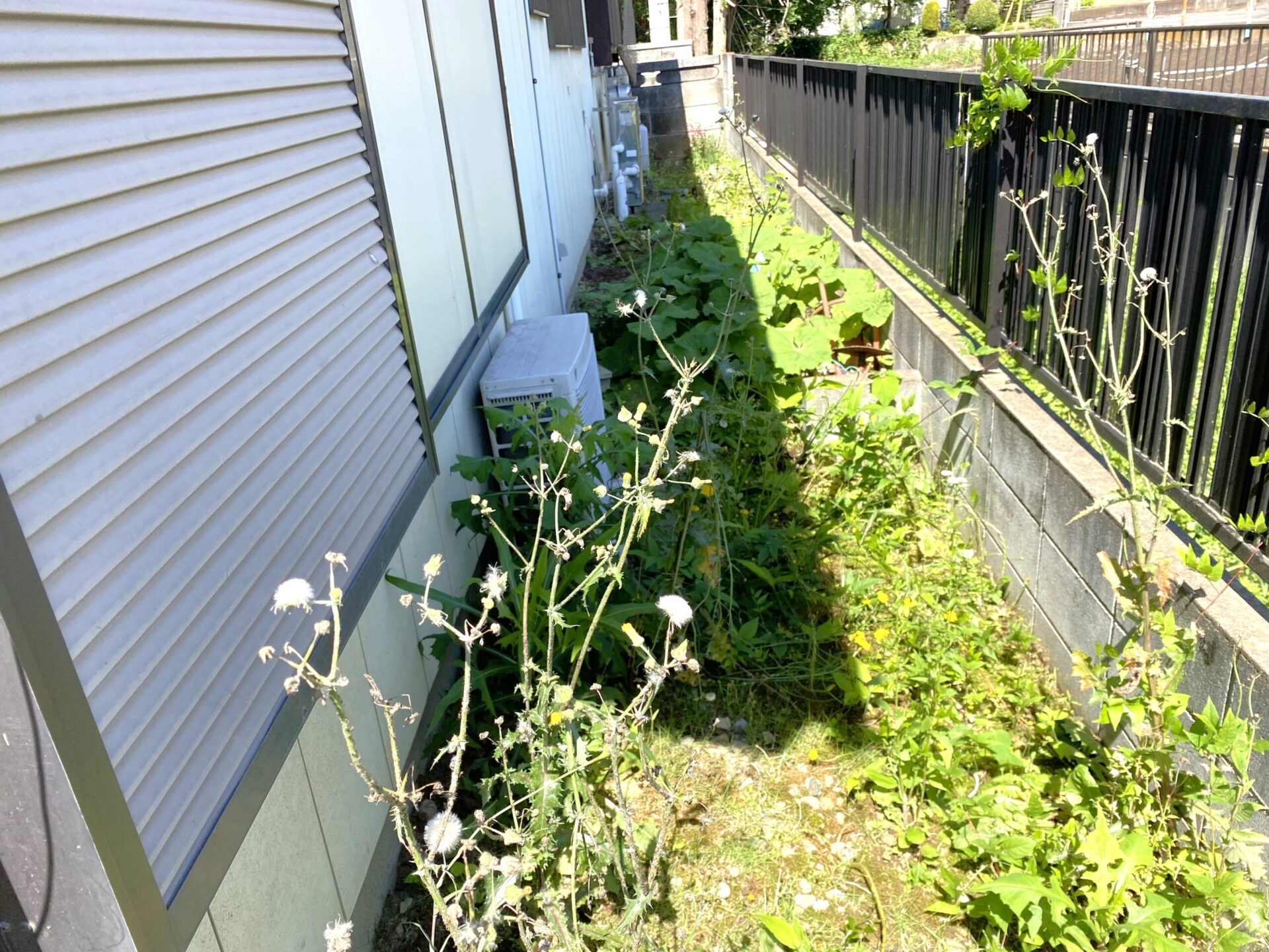 ６月１９日　川越市　除草　作業報告
