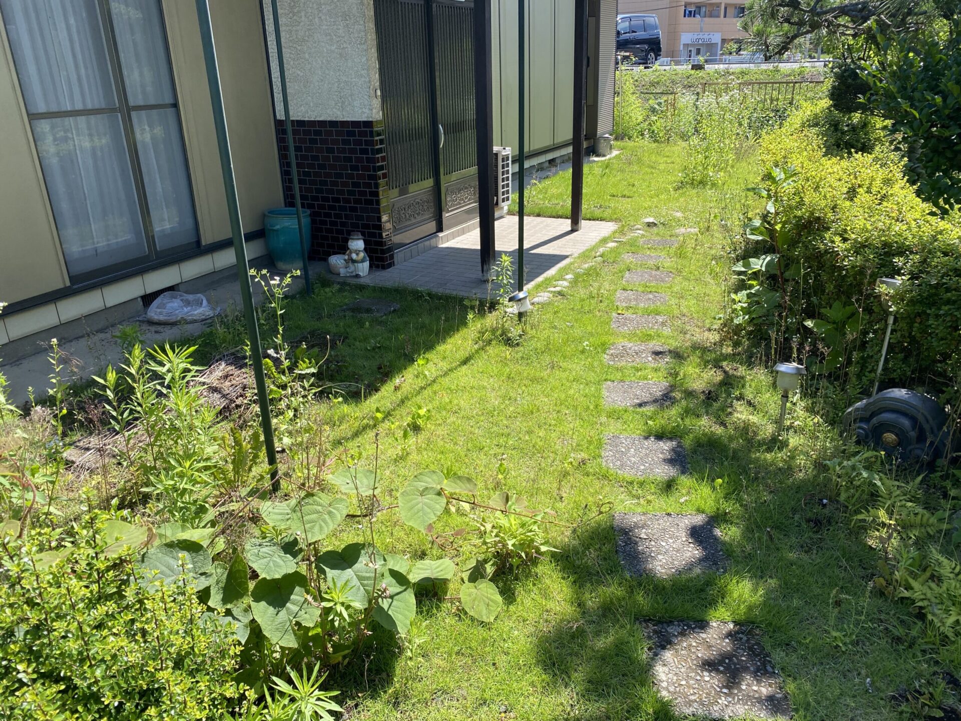 7月6日 川越市 除草 作業報告