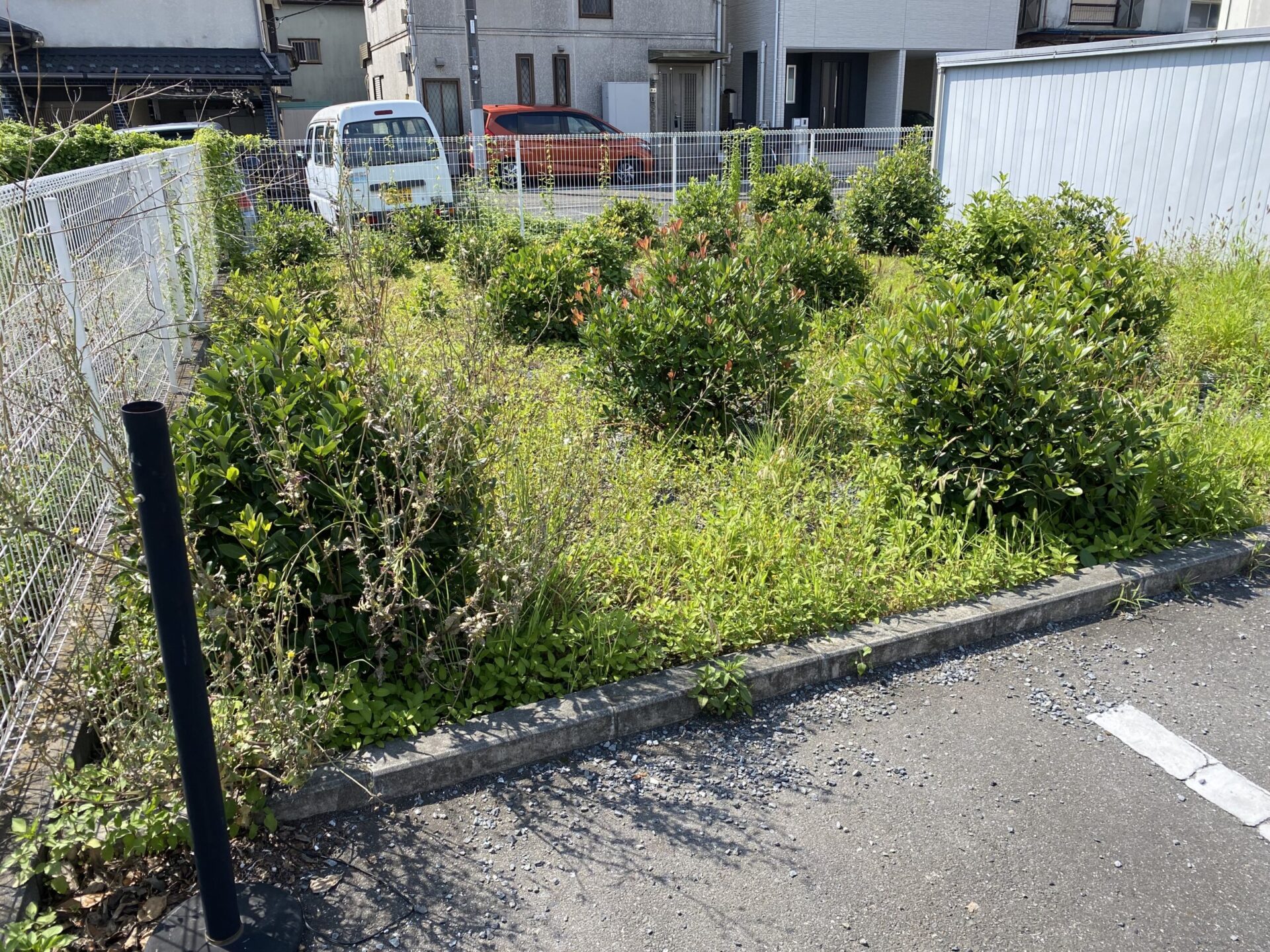７月２日　富士見市　剪定除草　作業報告