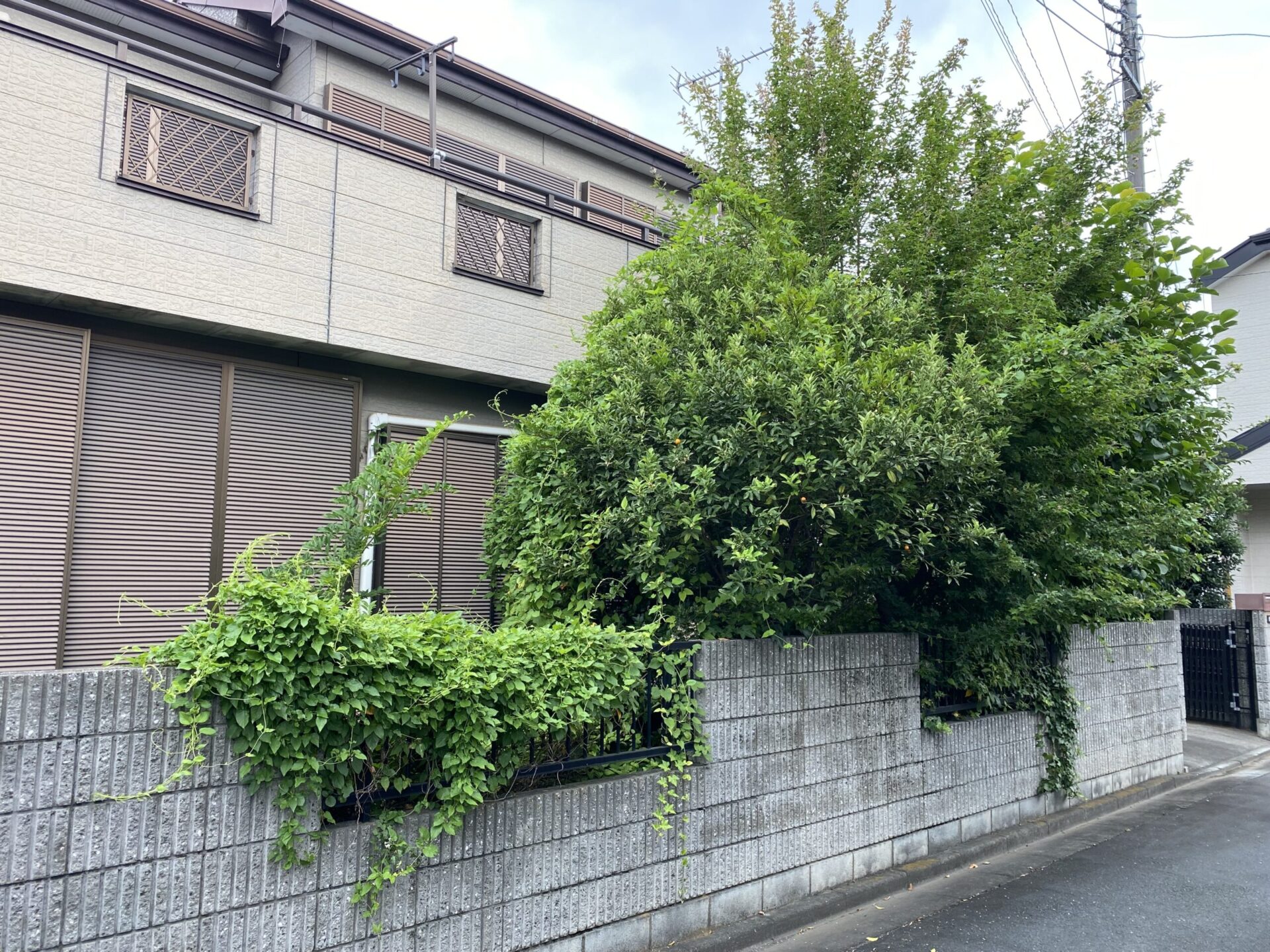 7月29日 川越市 庭木強剪定 作業報告