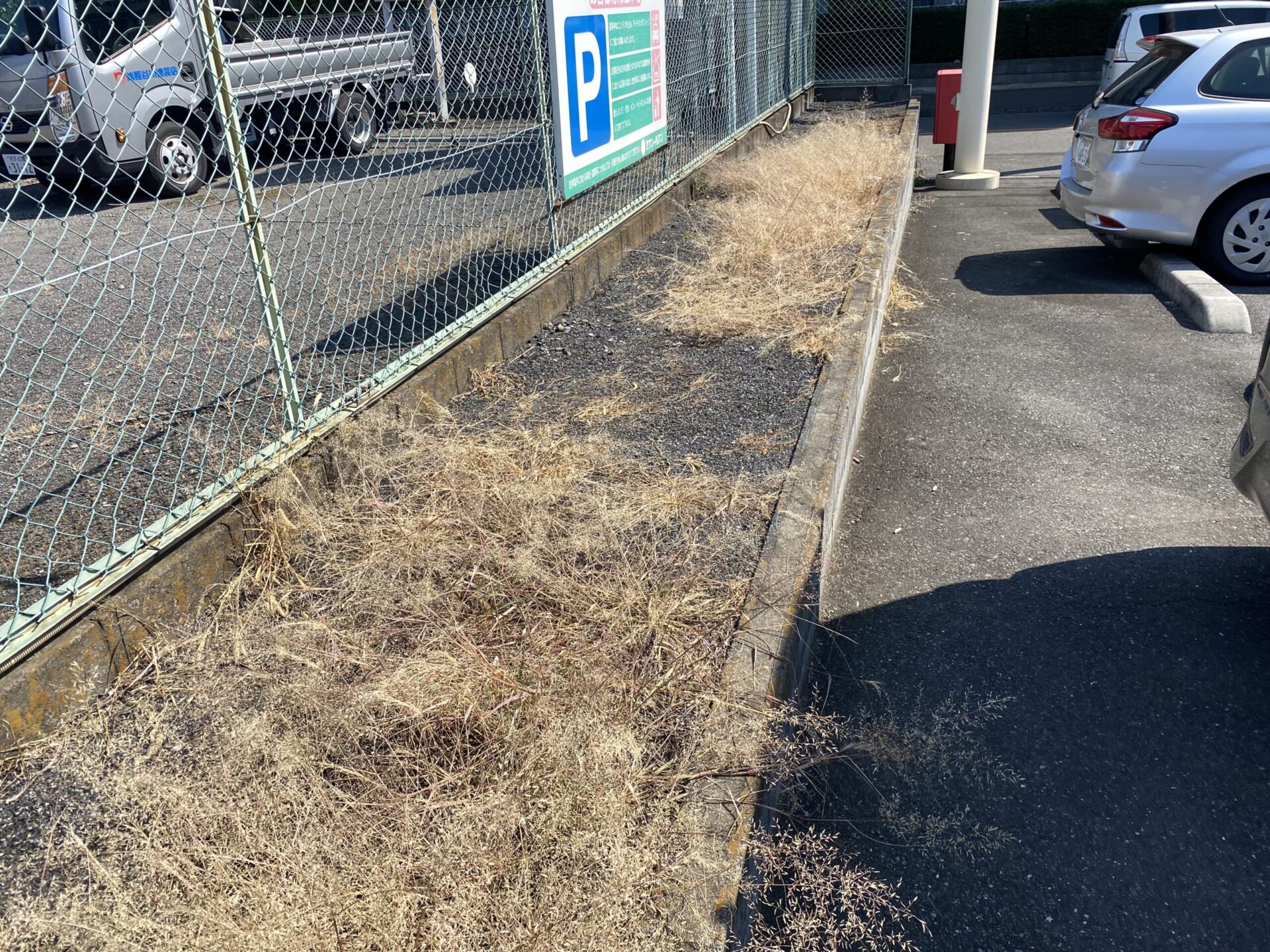 7月27日 和光市 店舗植栽管理 防草工事