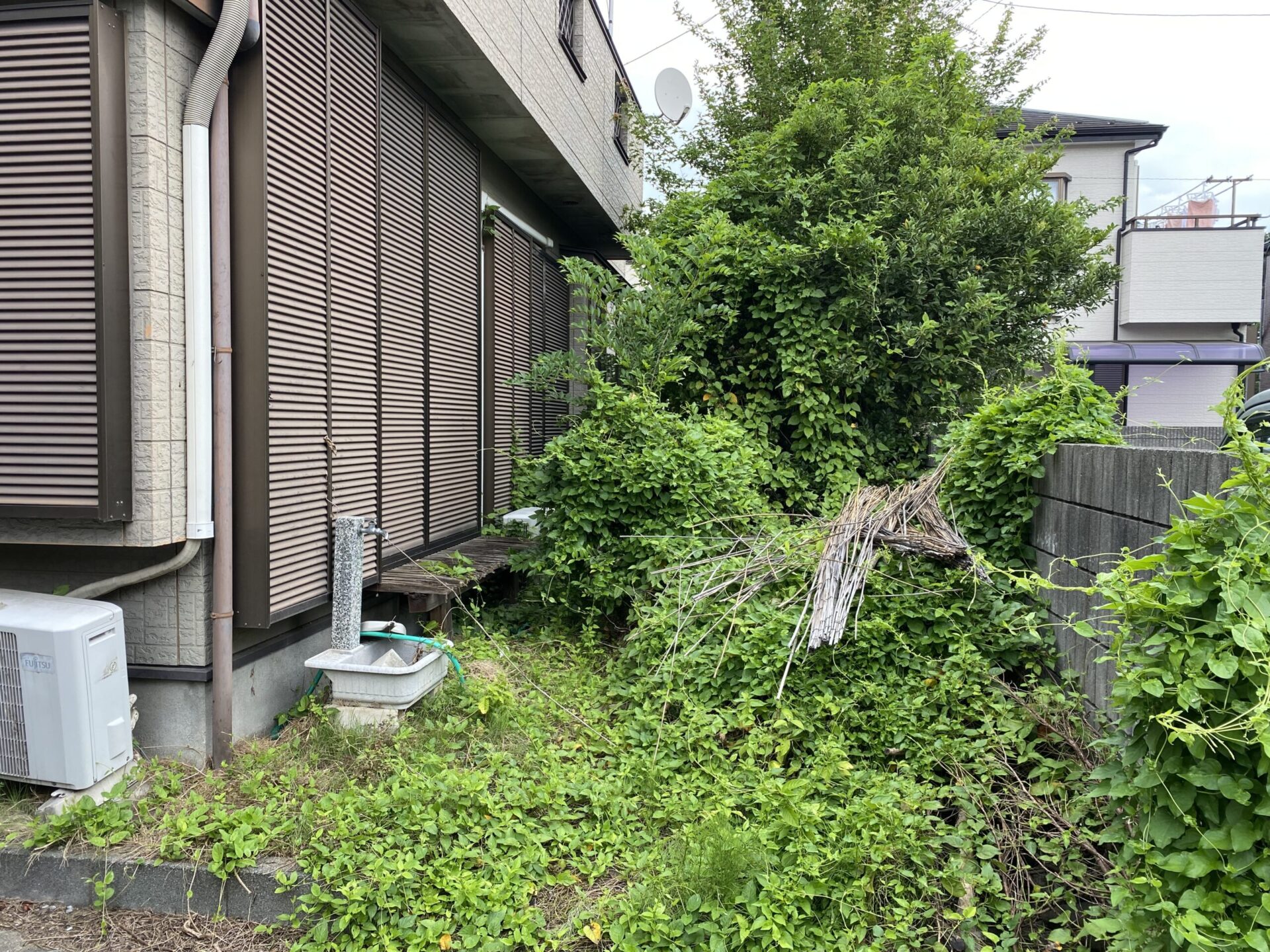 9月6日 川越市 剪定 除草 除草作業