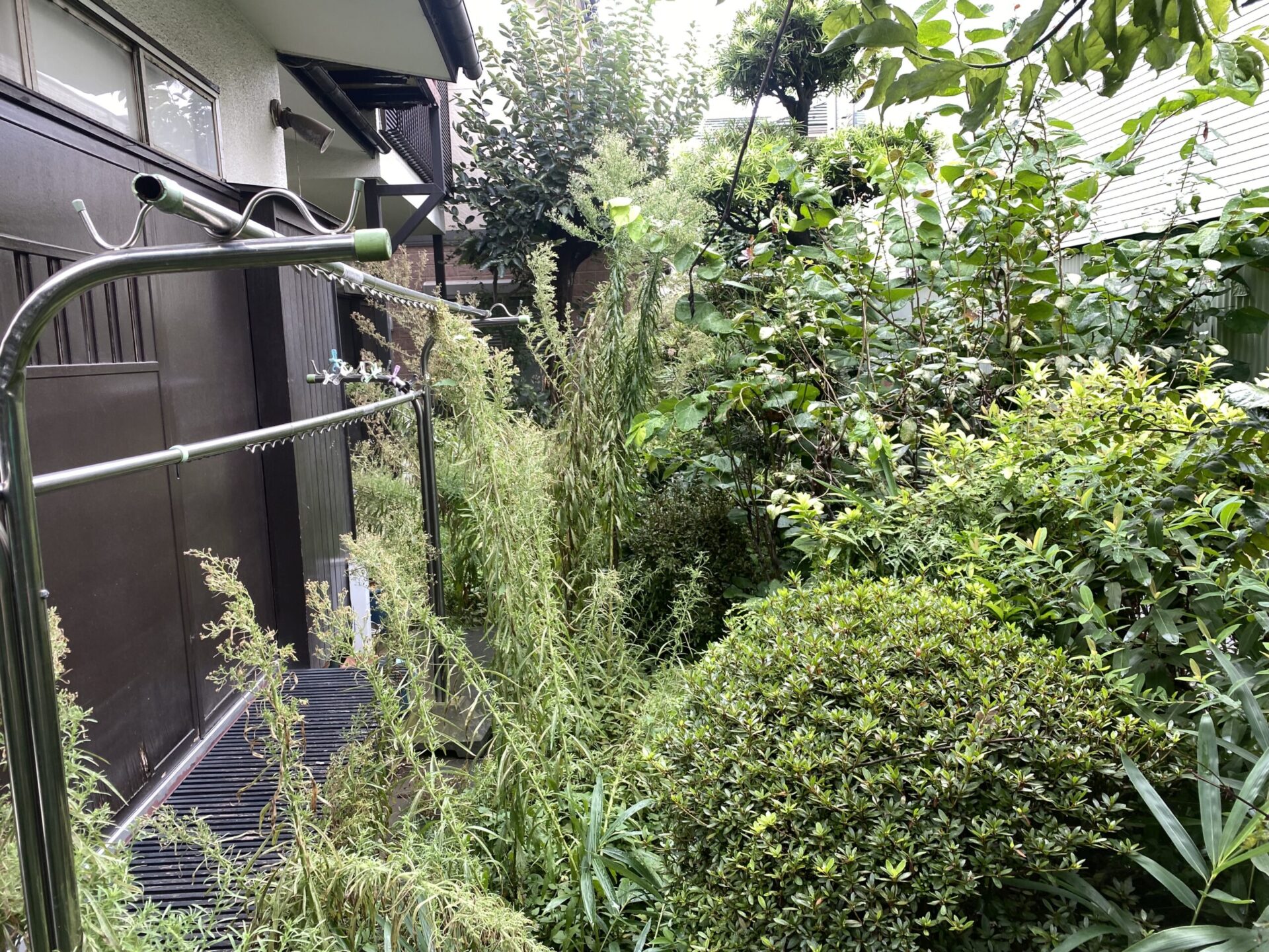 ９月２１日　富士見市　剪定　除草作業