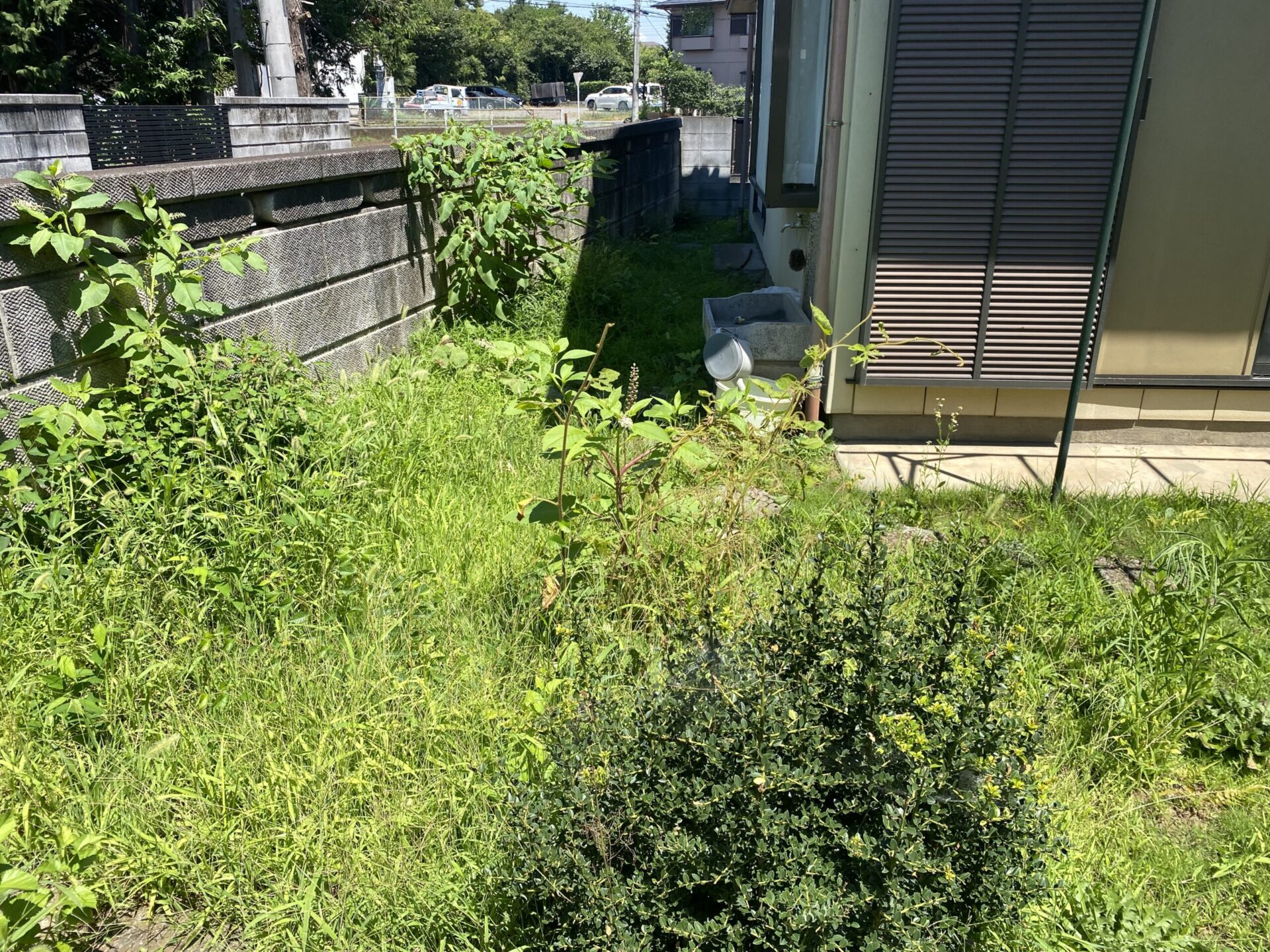 12月7日 川越市 除草作業