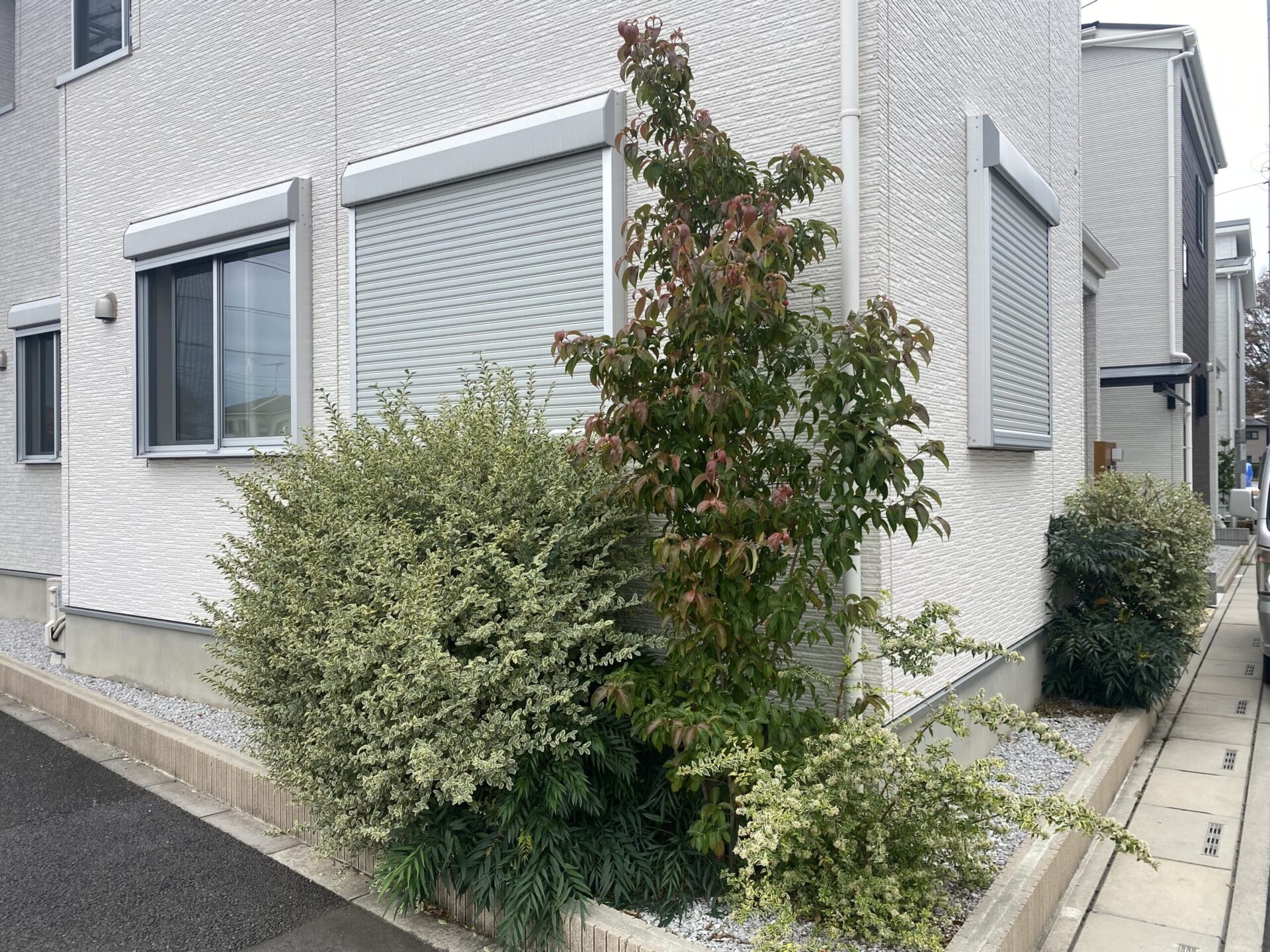 １２月１２日　川越市　伐採作業報告