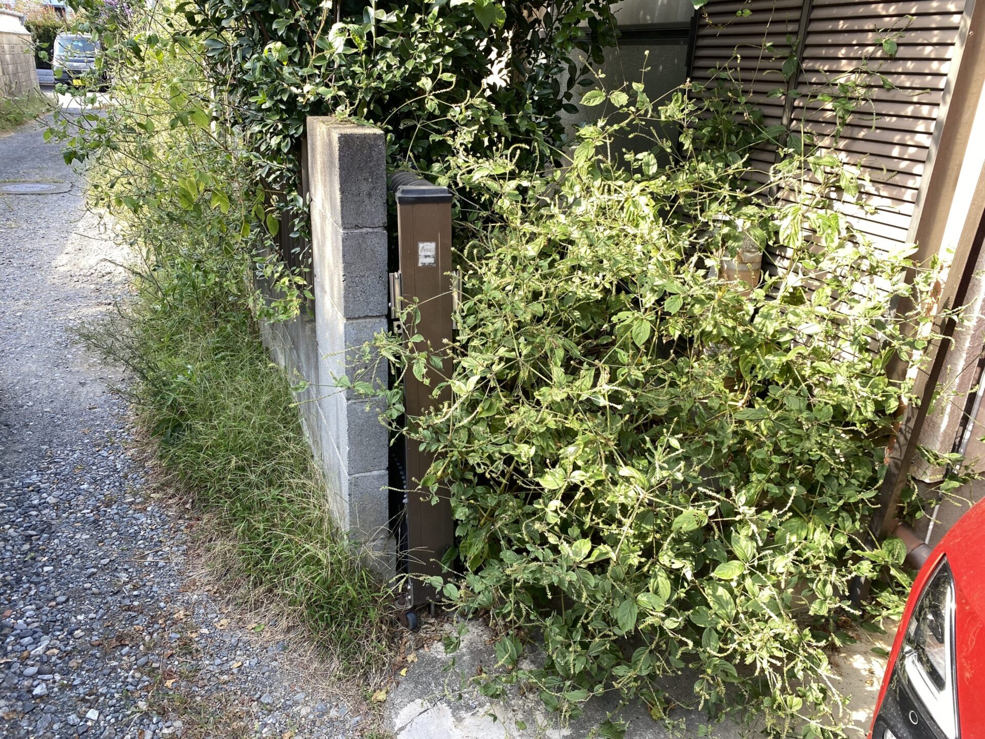 １２月２９日　ふじみ野市　除草　作業報告