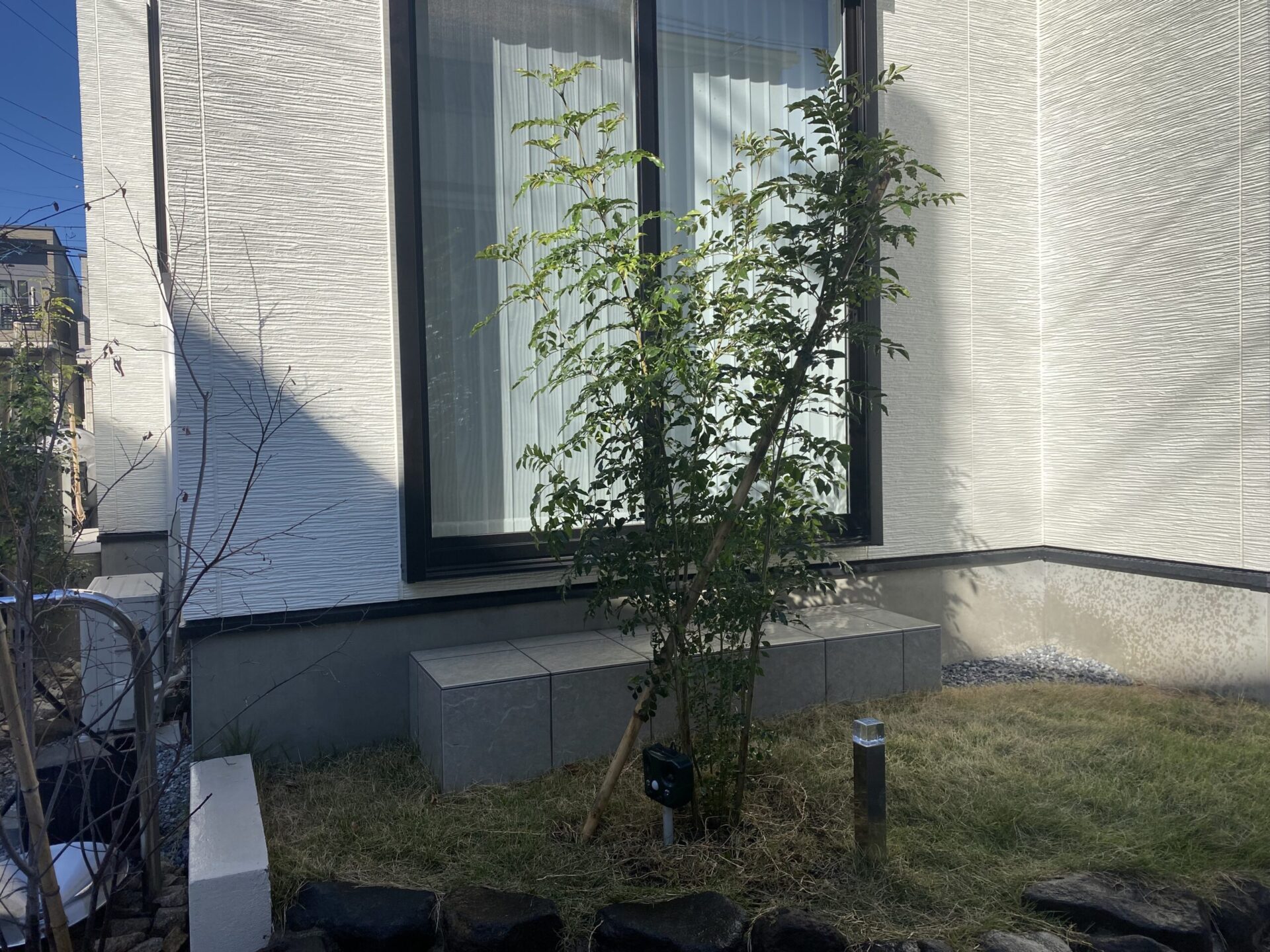 １２月２６日　富士見市　植栽工事
