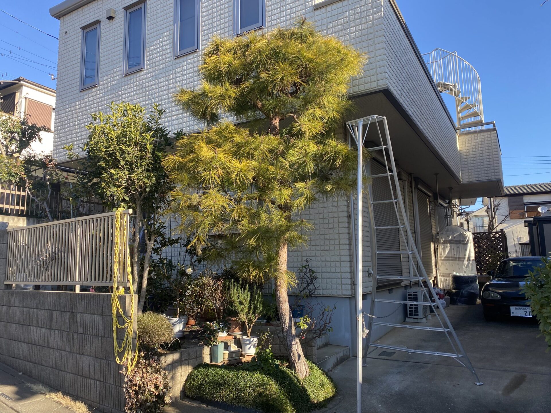１月１４日　ふじみ野市　剪定　作業報告