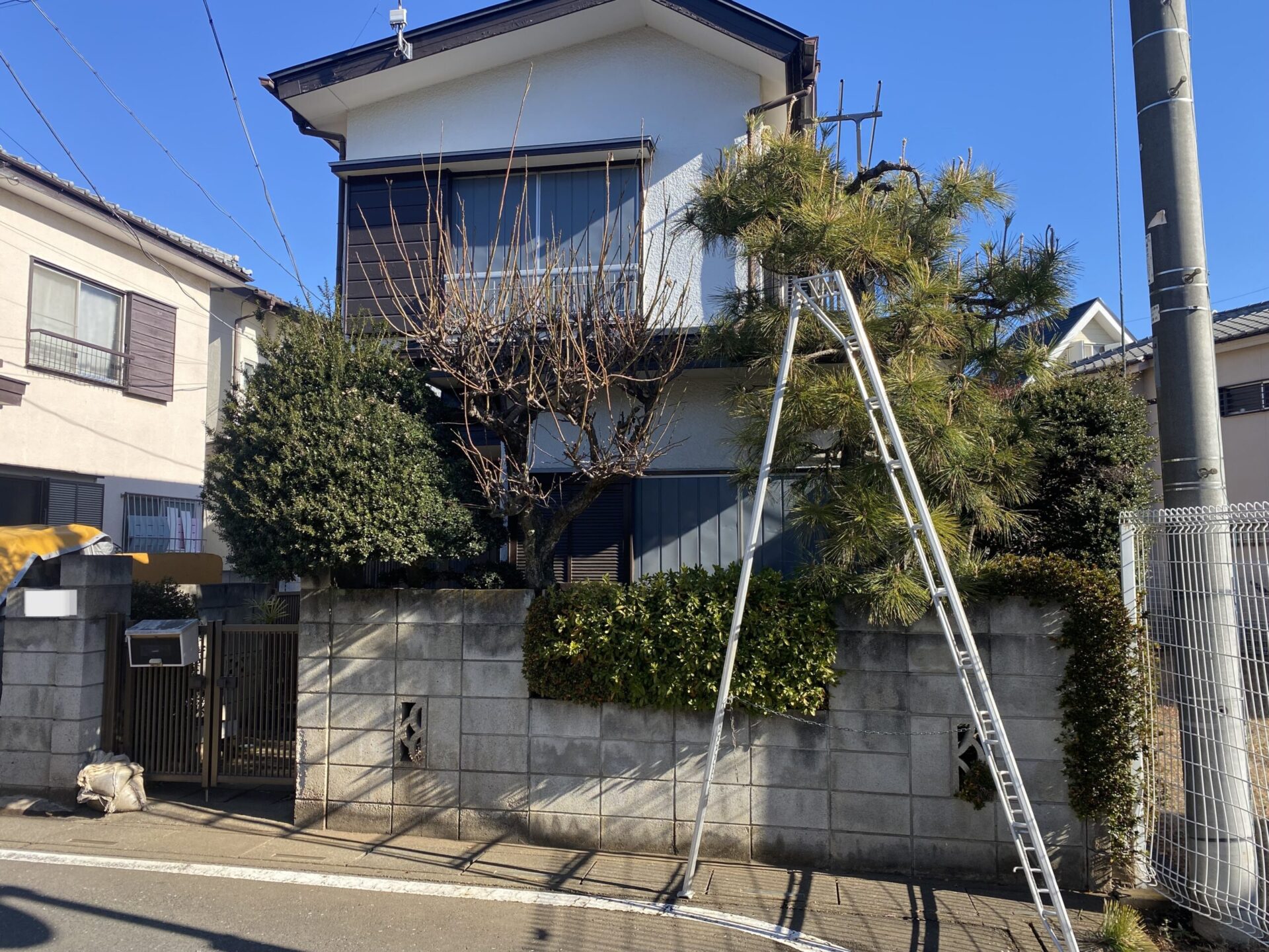 １月１３日　ふじみ野市　剪定　作業報告