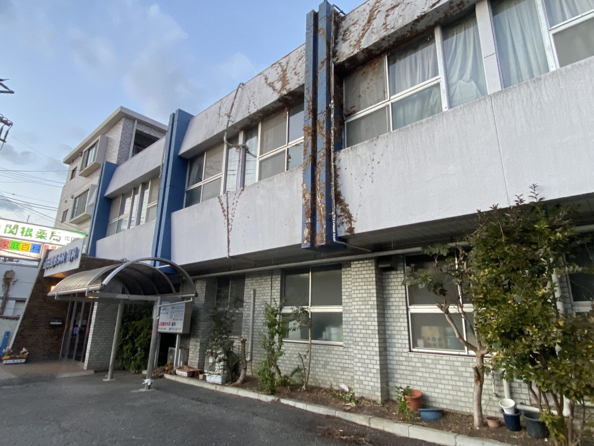 １月１９日　ふじみ野市　山田整形外科様　ツタ除去　伐採作業