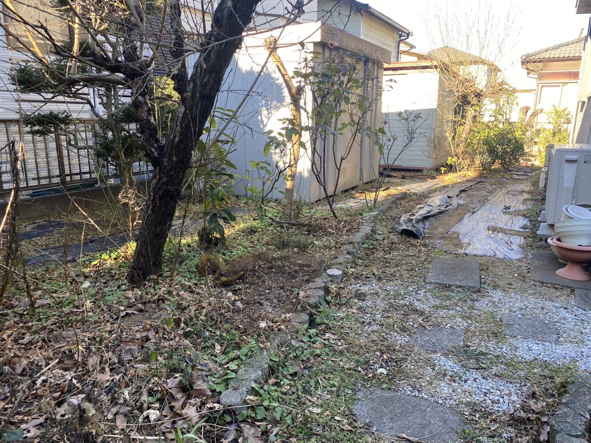 １月２４日　川越市　伐採　防草シート　作業報告