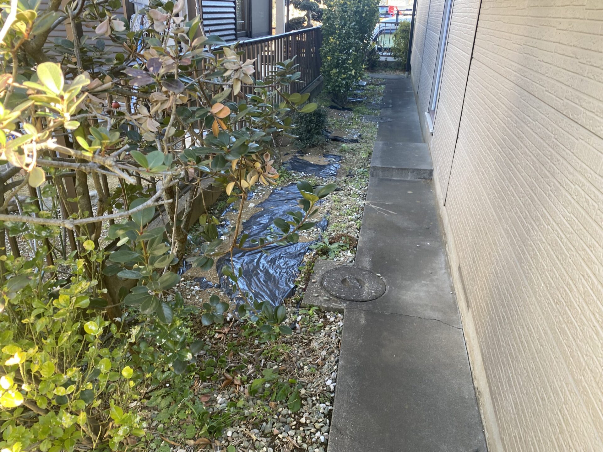 １月２８日　川越市　防草シート　伐採　作業報告