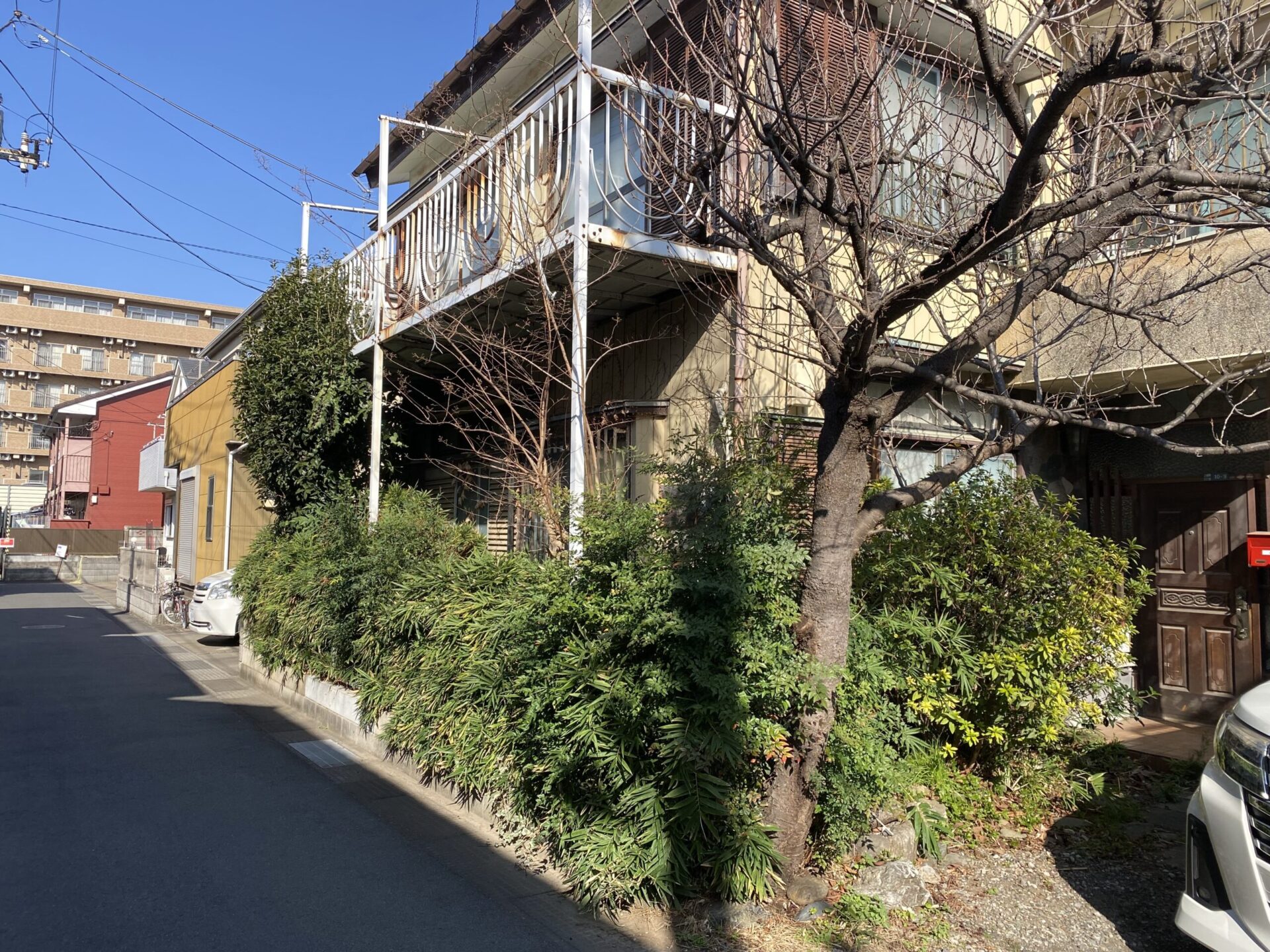 ３月１２日　ふじみ野市　剪定　伐採　作業