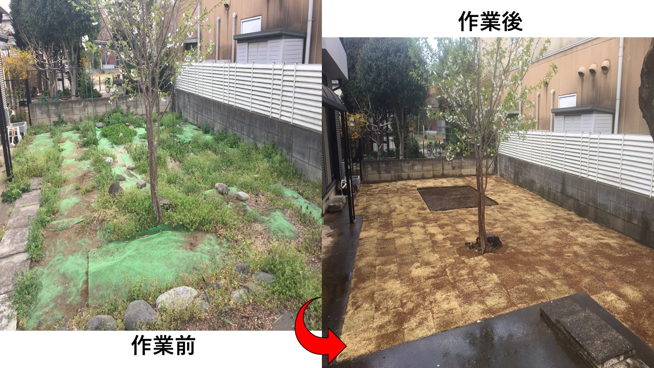 2月28日 ふじみ野市 芝張り 高麗芝 TM9 オススメ