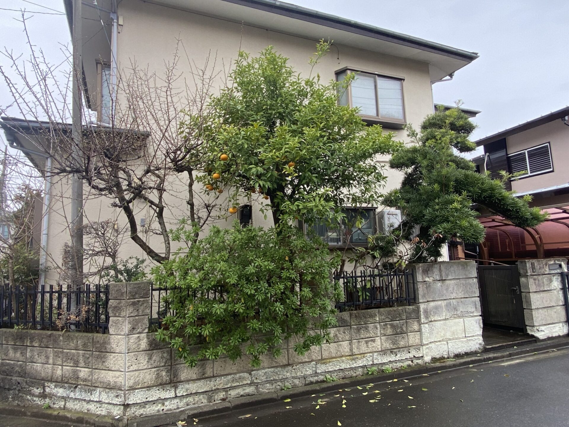 ５月９日　富士見市　剪定　作業報告