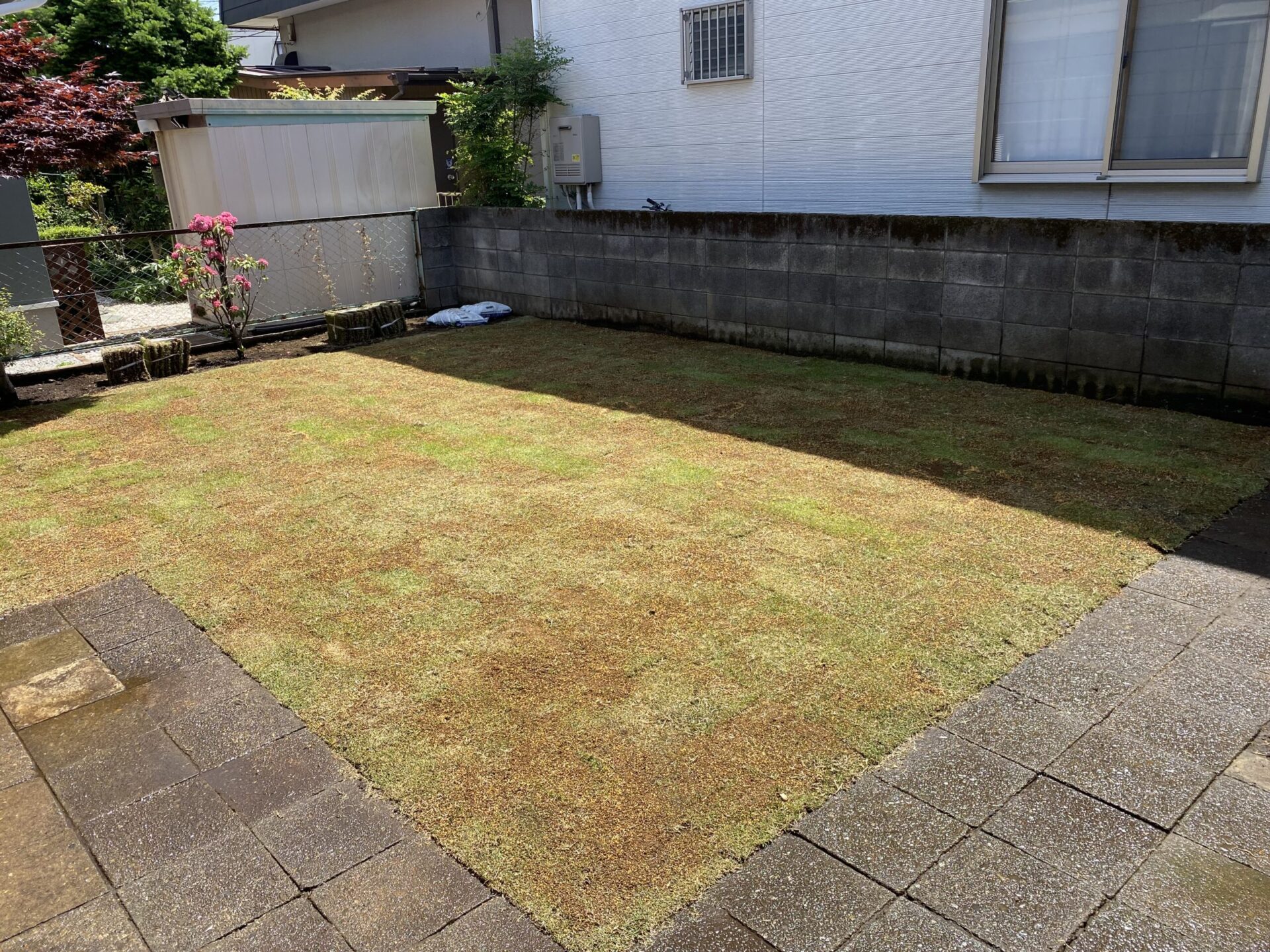 ６月２４日　狭山市　芝張り　作業報告