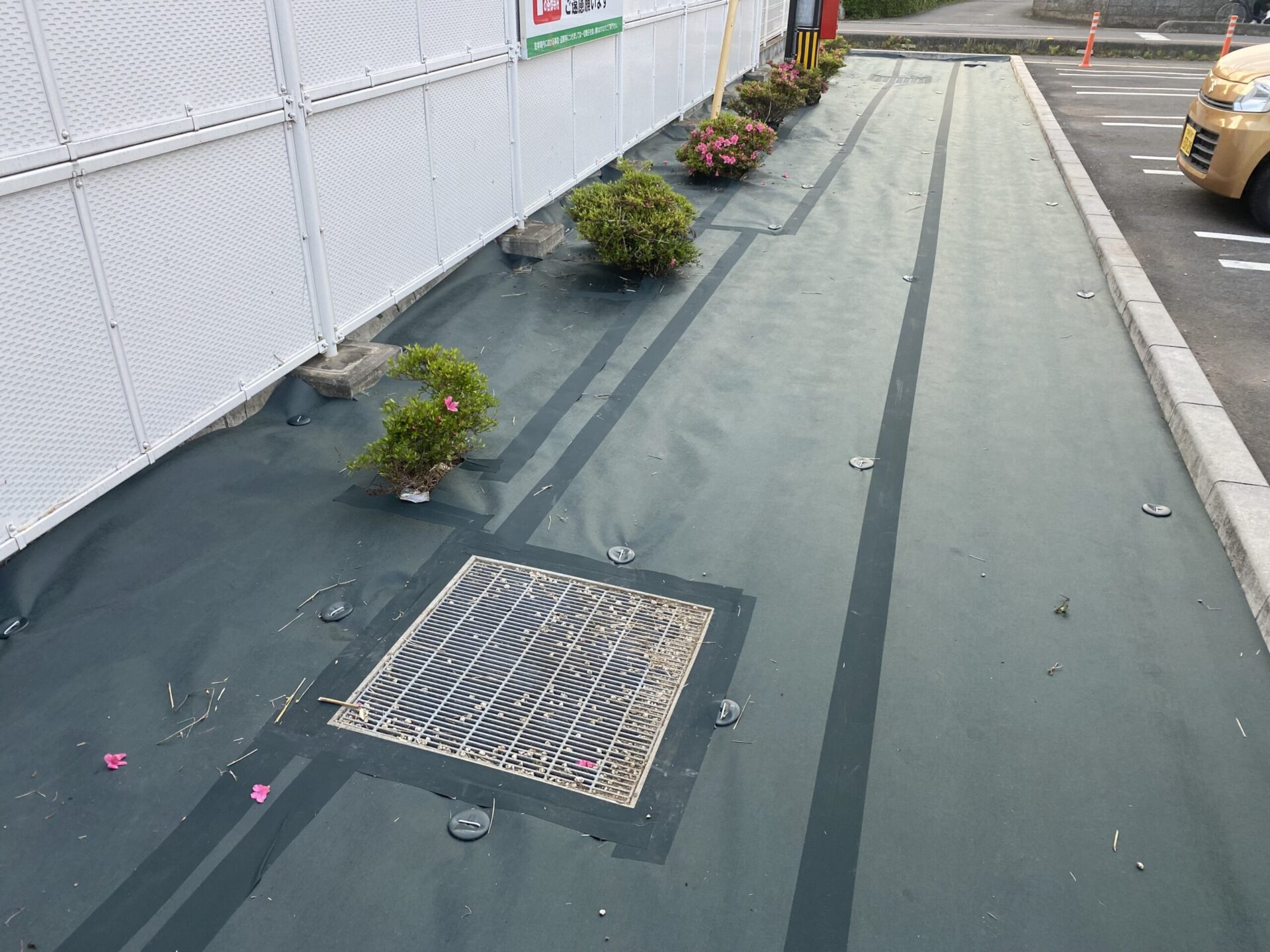６月２５日　川越市　防草シート　作業報告