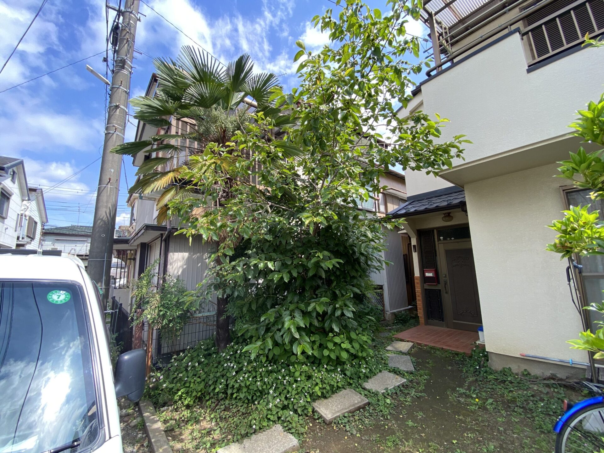 ６月２７日　川越市　除草　剪定　伐採　作業方向