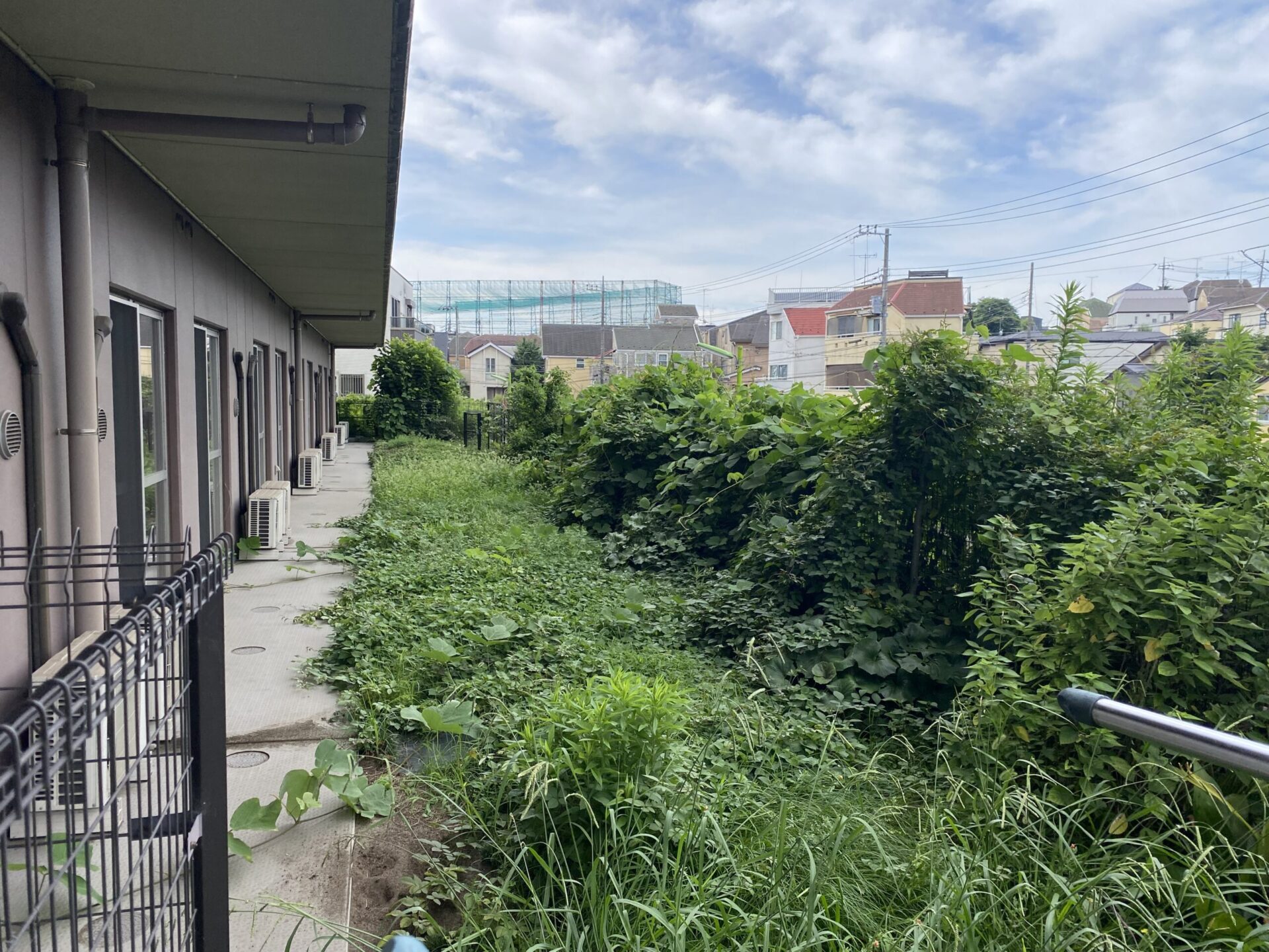 ９月２２日　富士見市　剪定　除草　作業報告