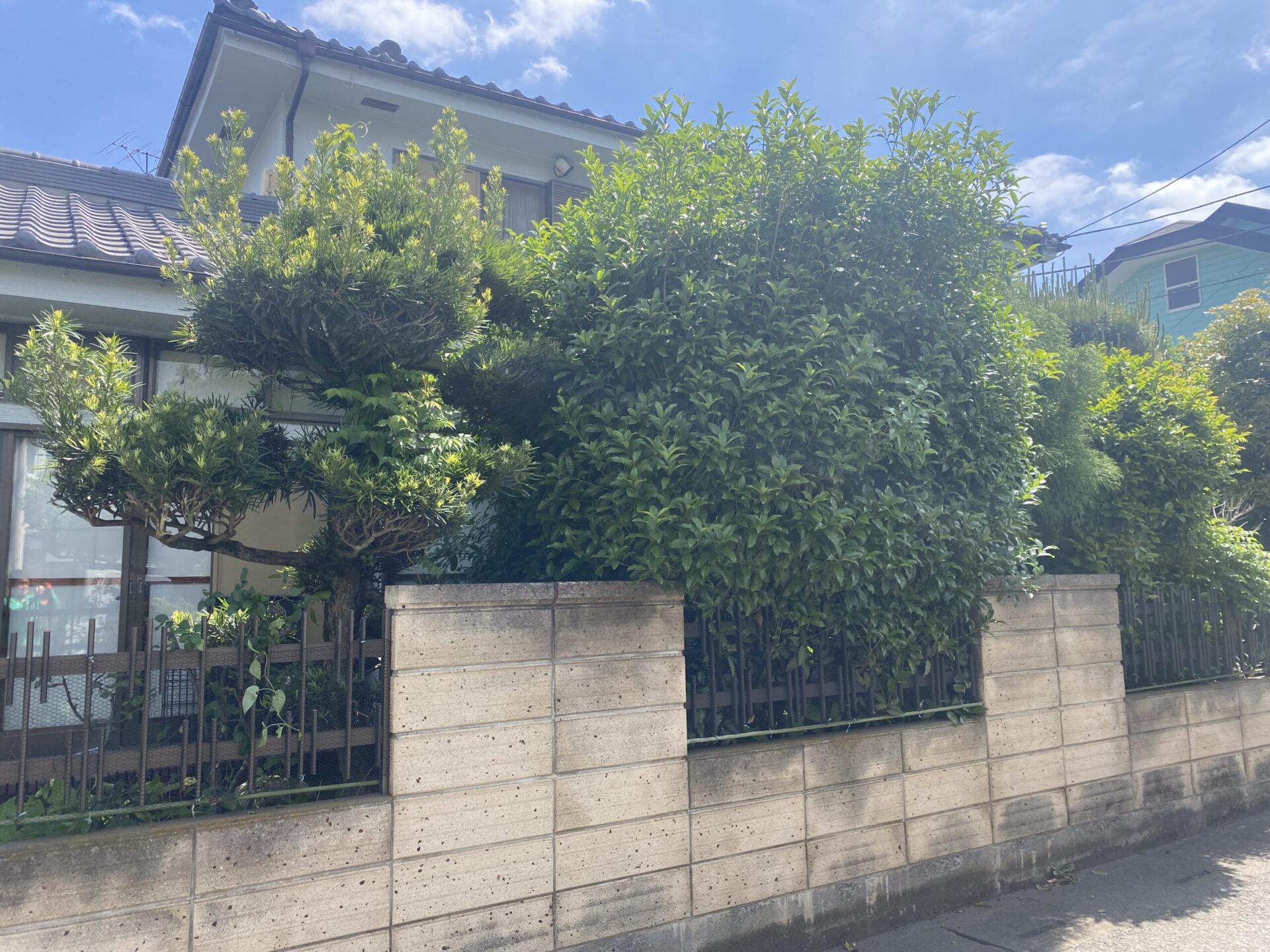 【入間市】お庭の伸びすぎた木を伐採＆剪定でスッキリ整理｜施工事例