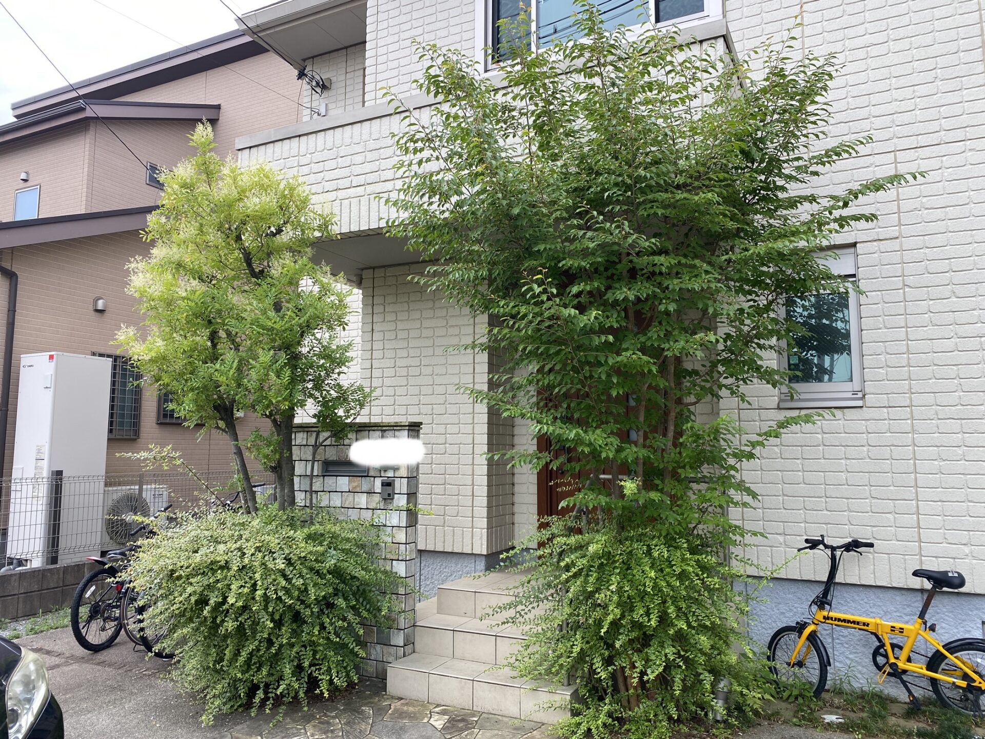 ９月２７日　ふじみ野市　剪定作業