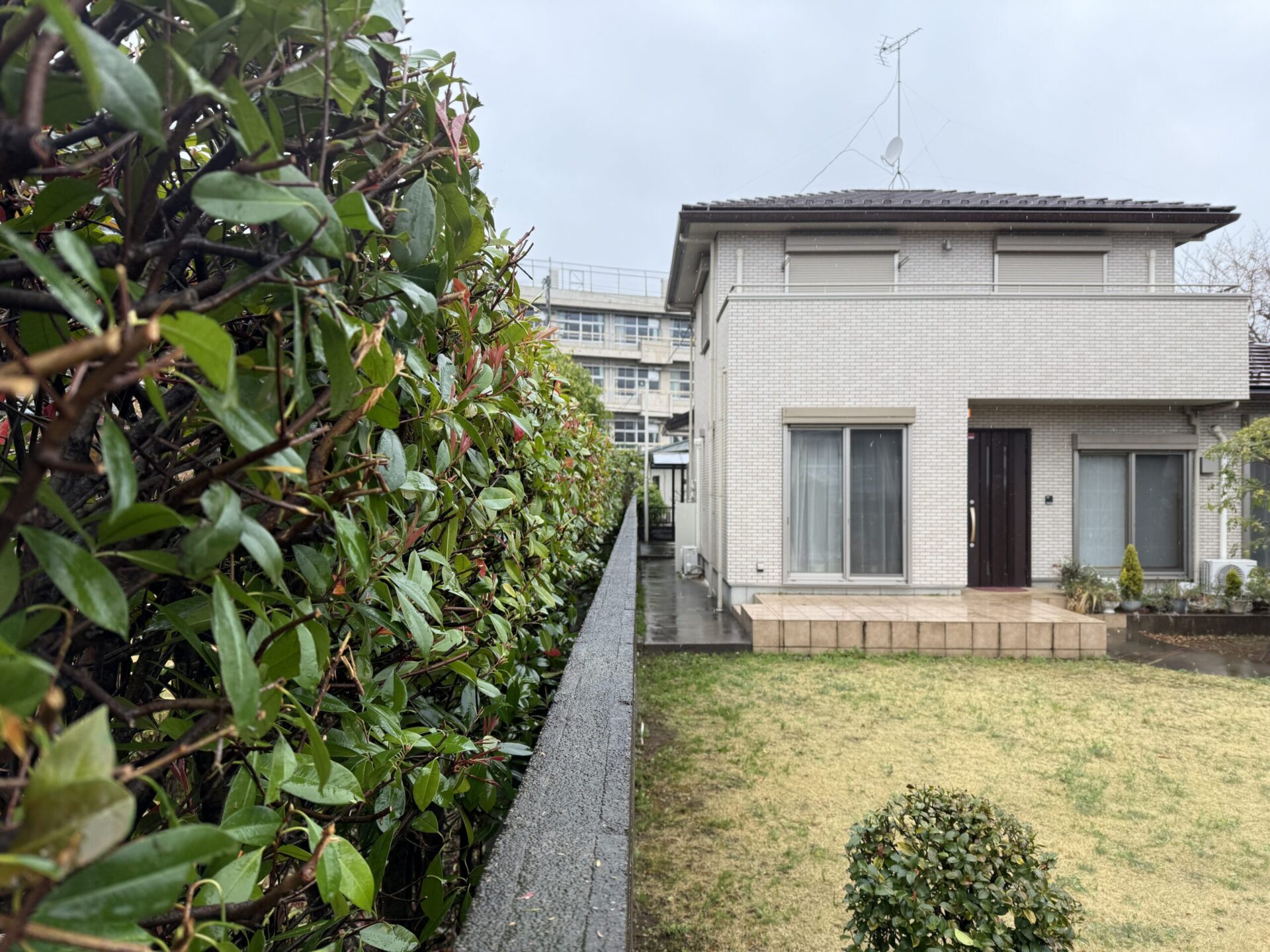 【さいたま市】お隣への気遣いもプロ品質|雨の中でも美しく整えた生垣剪定|施工事例