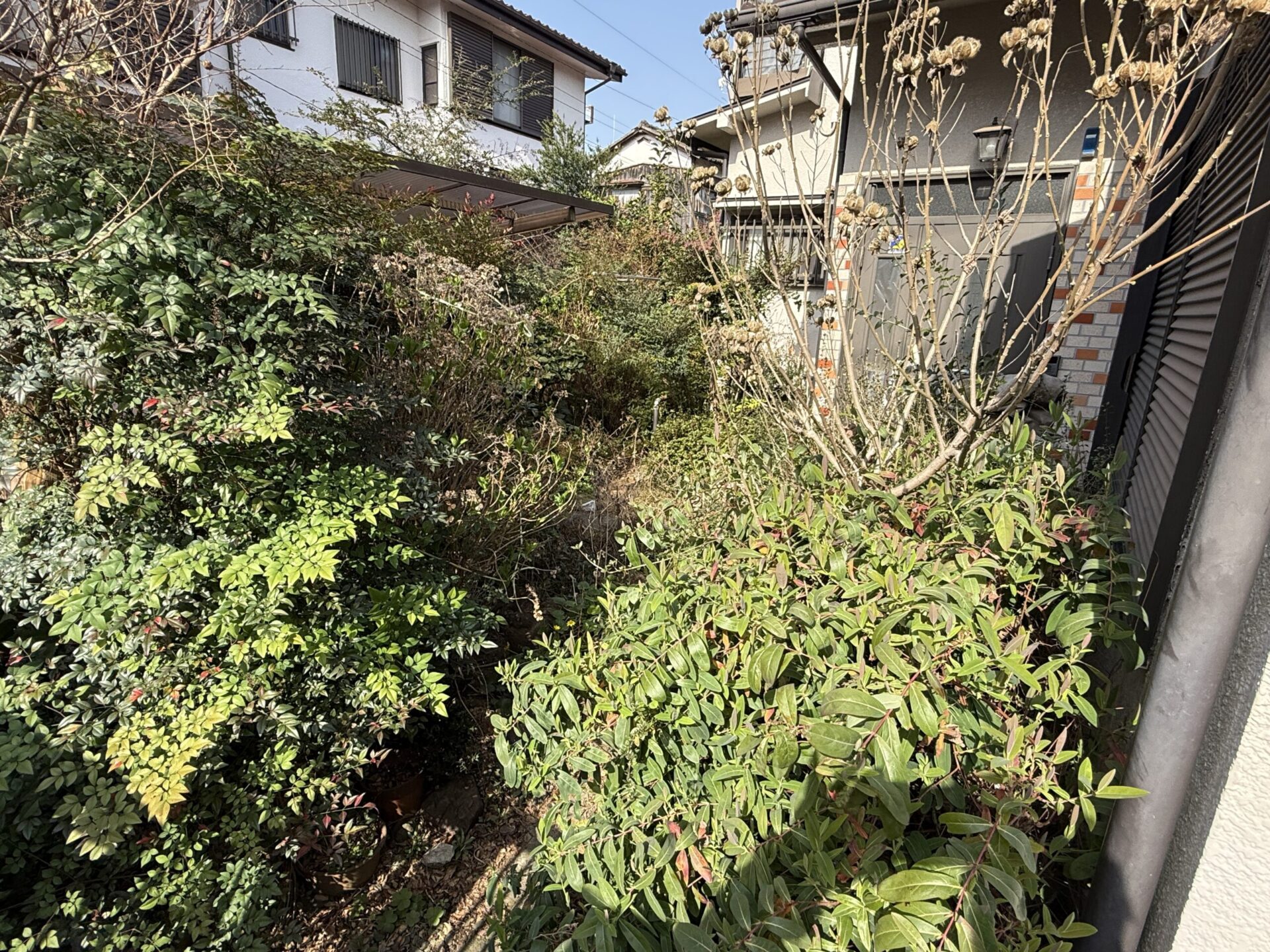 【ふじみ野市】空き家のお庭管理！立ち合い無しでもお任せください！