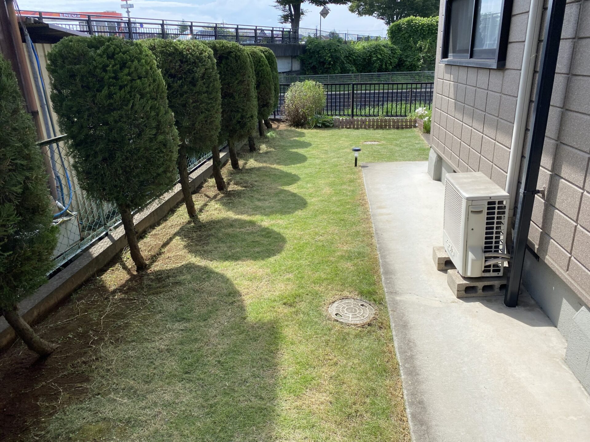 【ふじみ野市】ハチの巣ができてしまったカイヅカを剪定！風通しの良いお庭に！